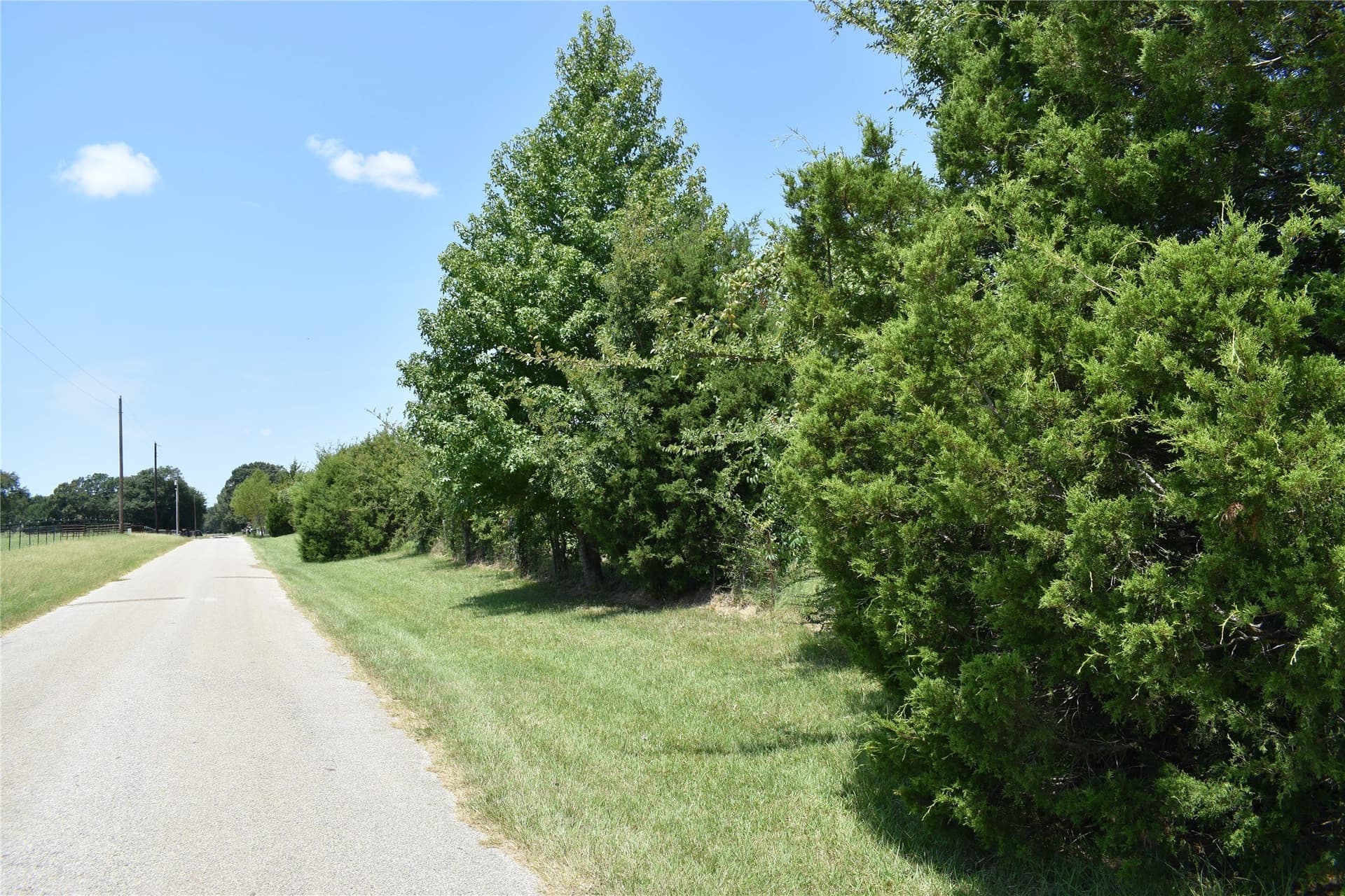 5.1 acres in Henderson County - photo 9