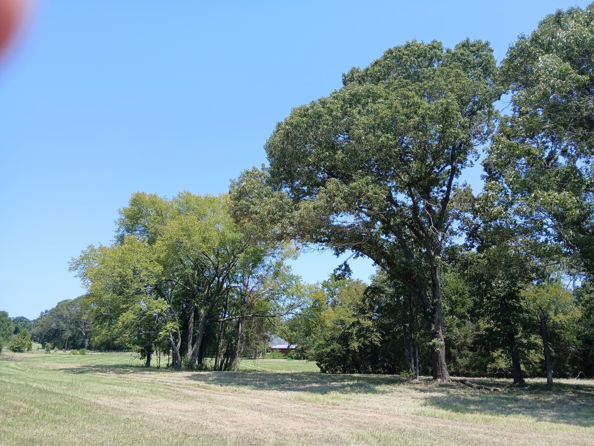 5.1 acres in Henderson County - photo 4