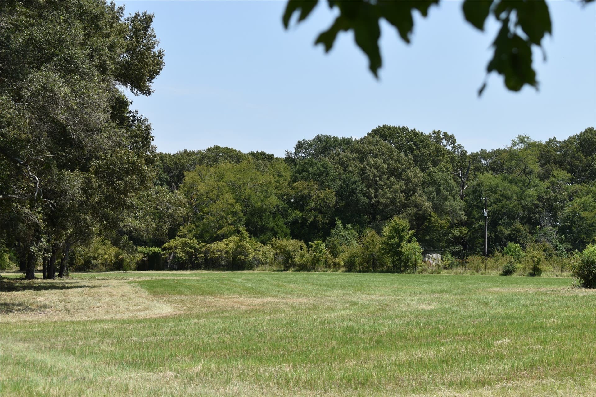 5.1 acres in Henderson County - photo 14