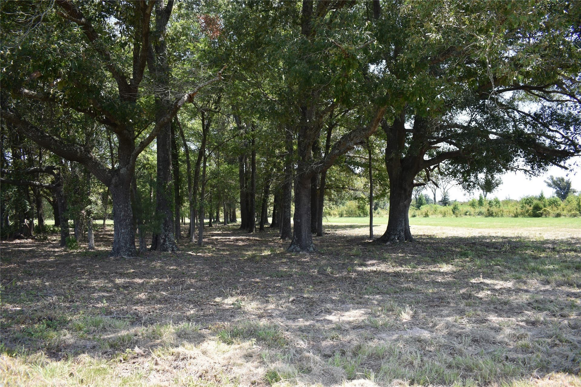 5.1 acres in Henderson County - photo 17