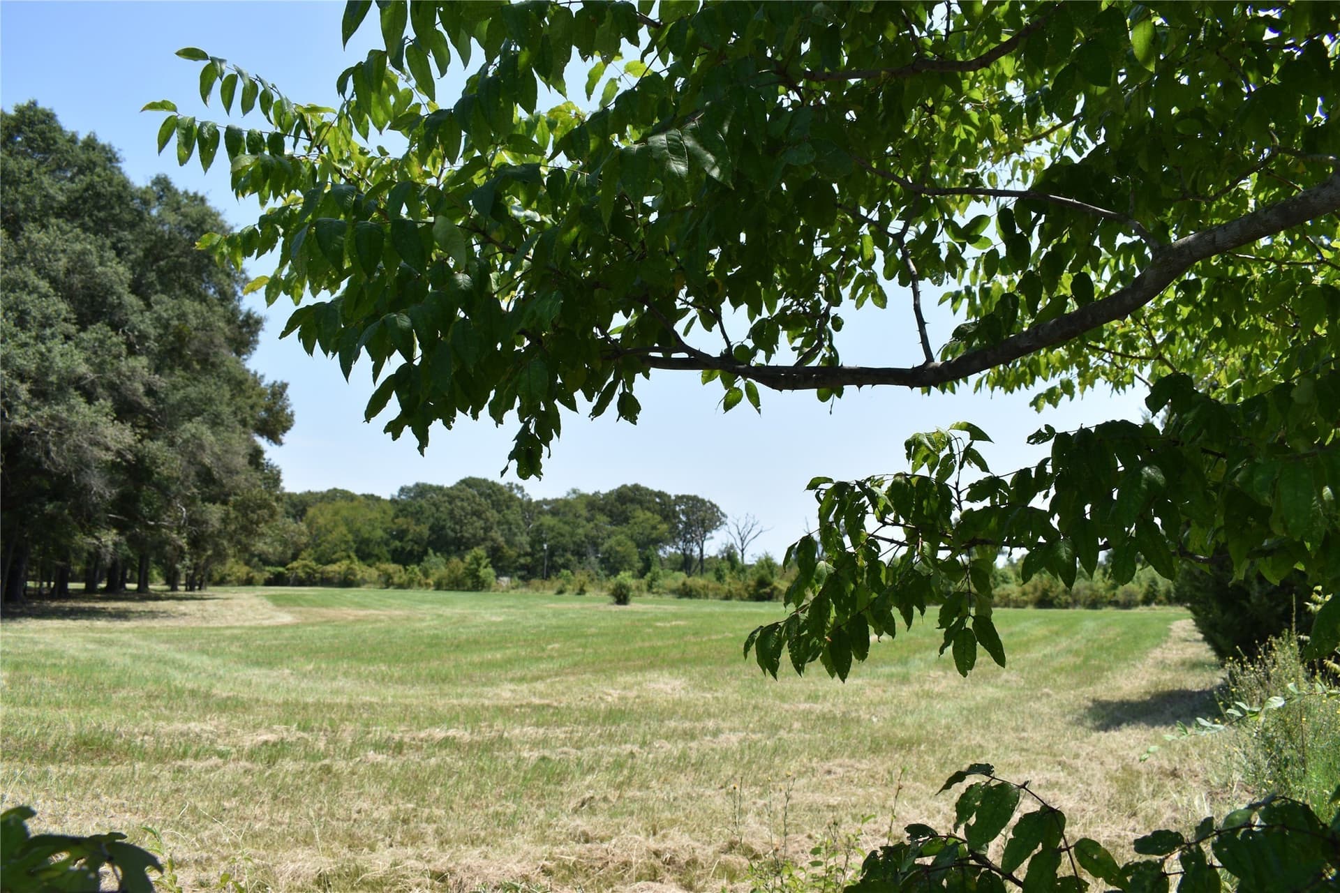 5.1 acres in Henderson County - photo 15