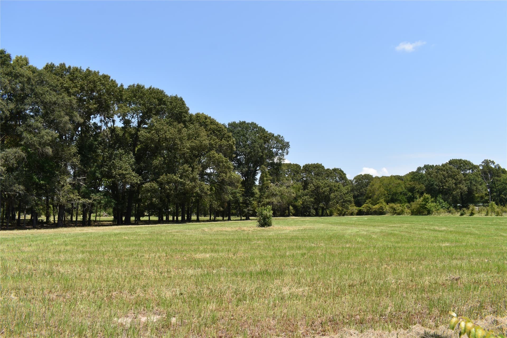 5.1 acres in Henderson County - photo 13