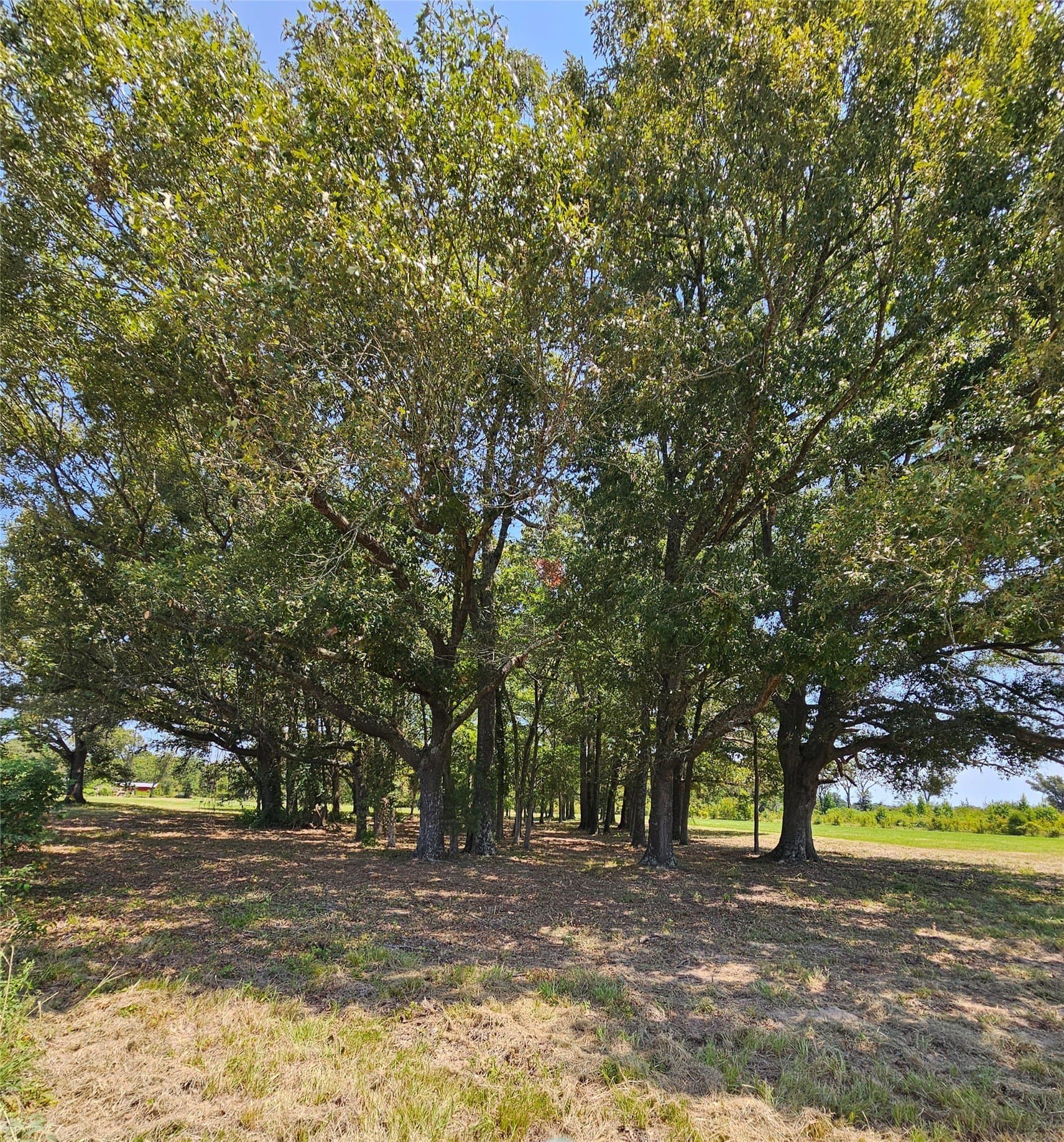 5.1 acres in Henderson County