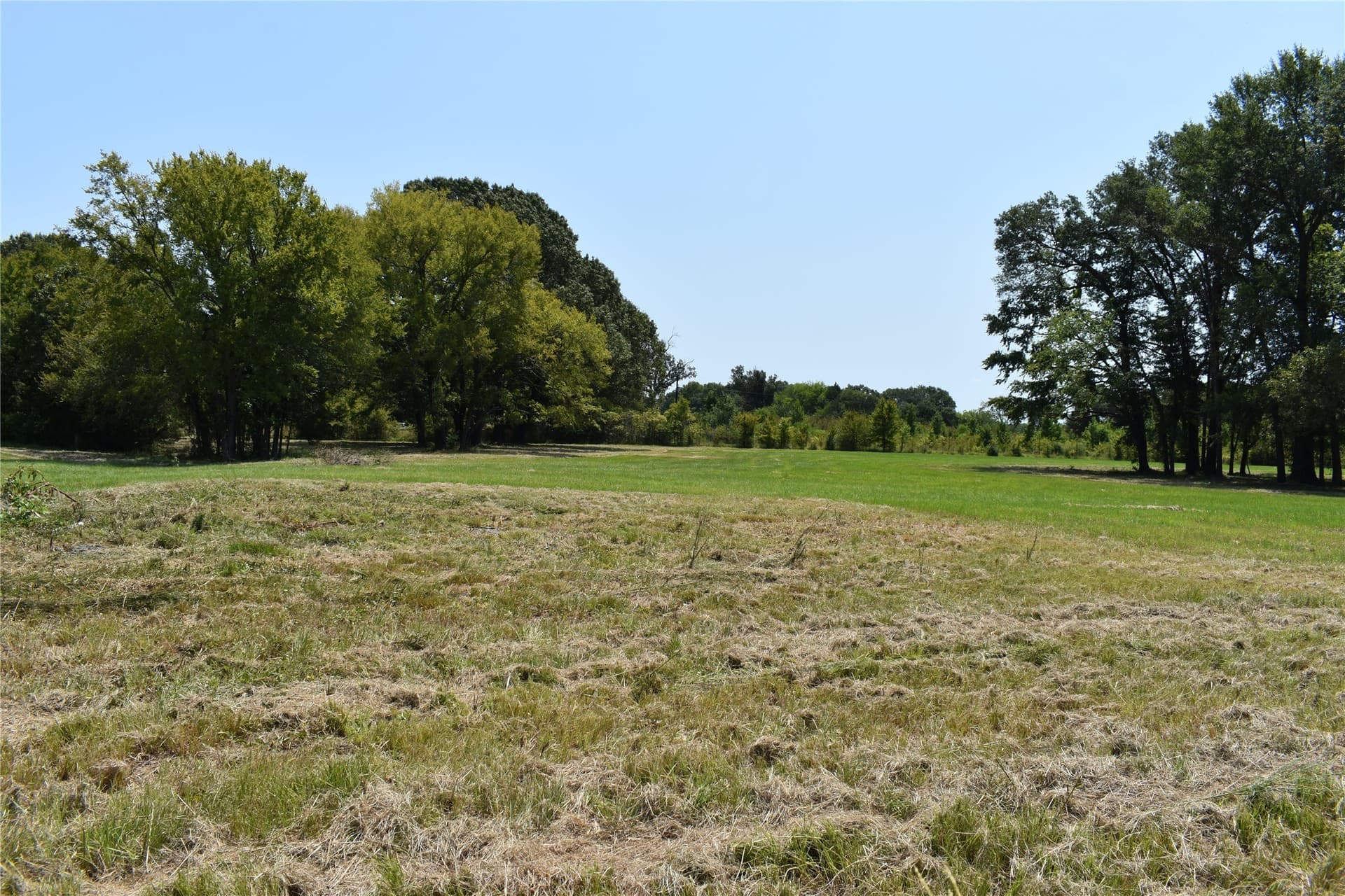 5.1 acres in Henderson County - photo 19