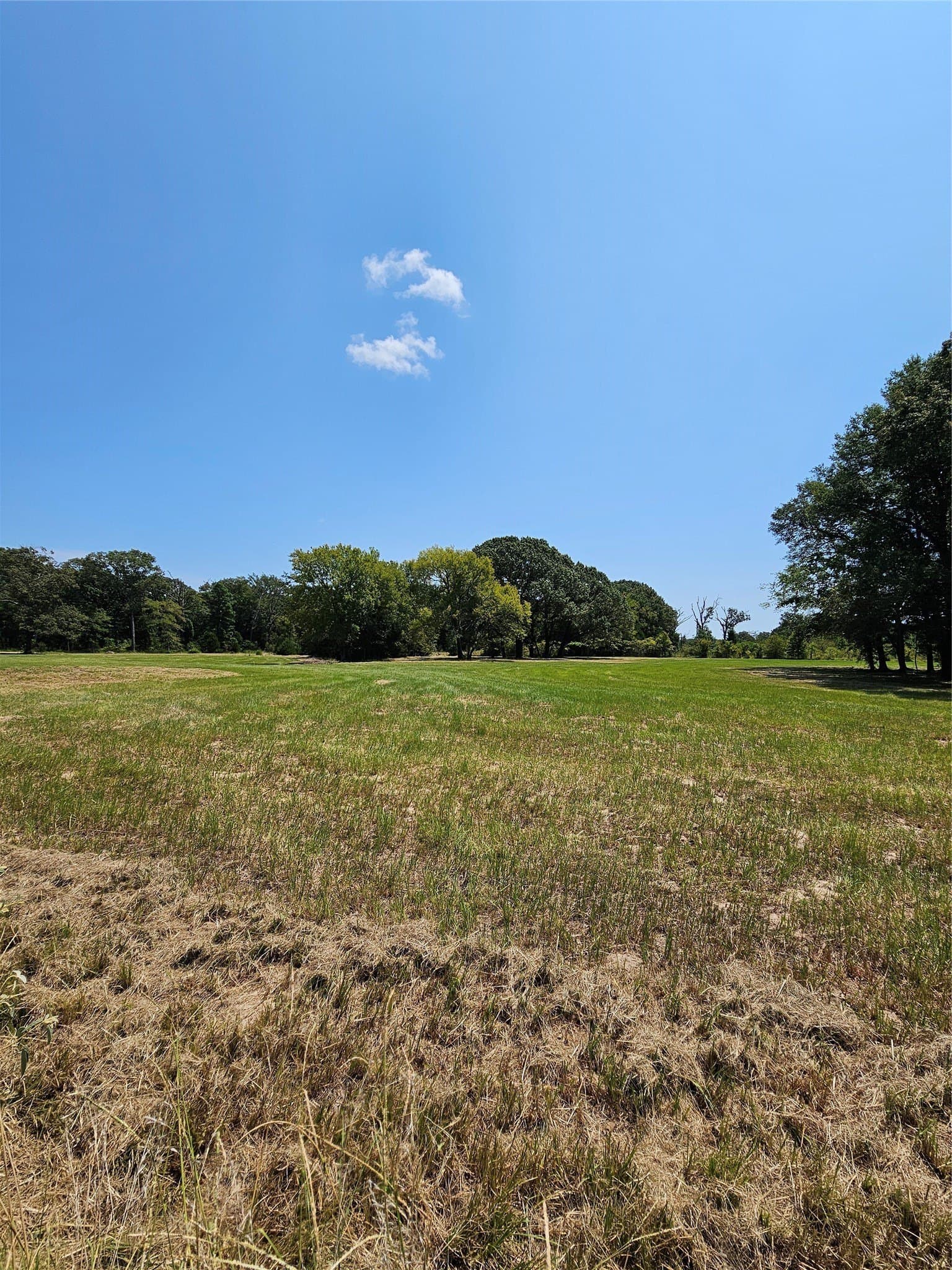 5.1 acres in Henderson County - photo 3