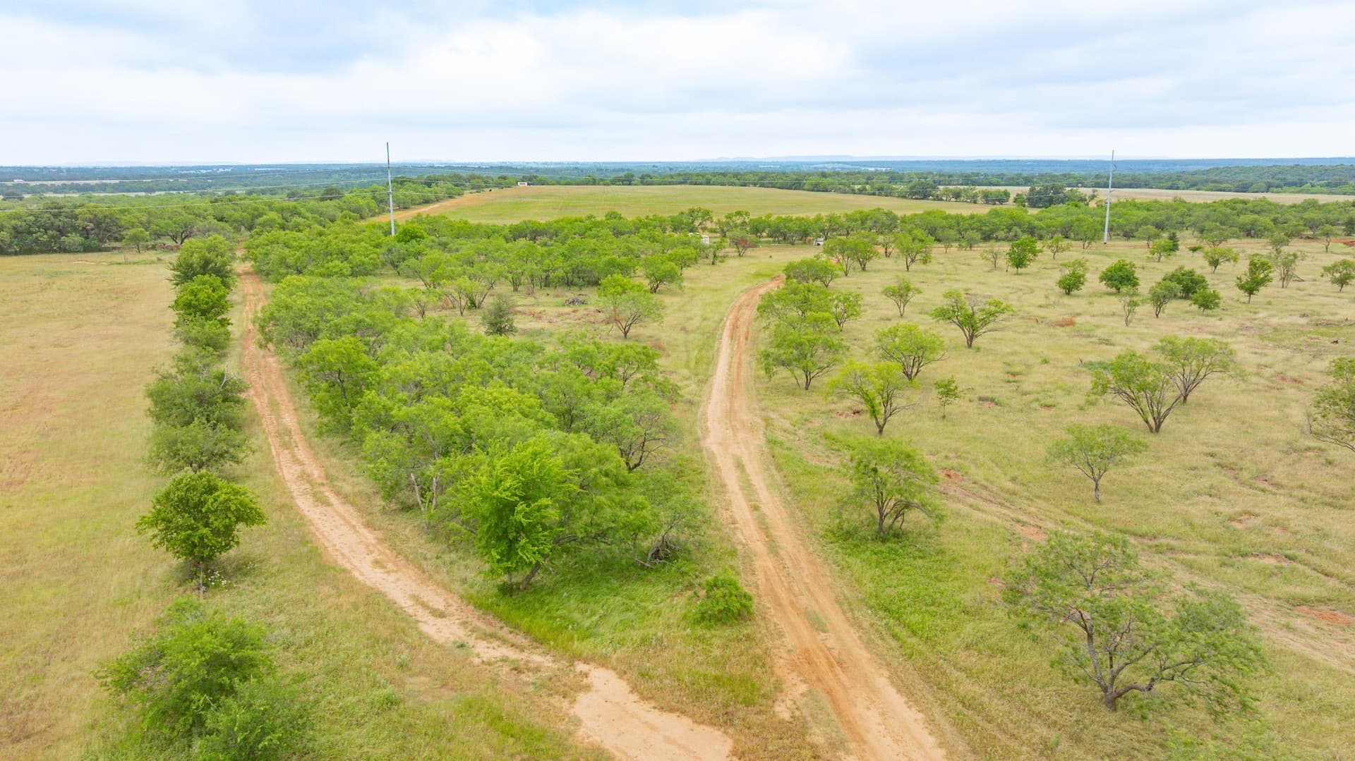 100 acres in Comanche County gallery image 3