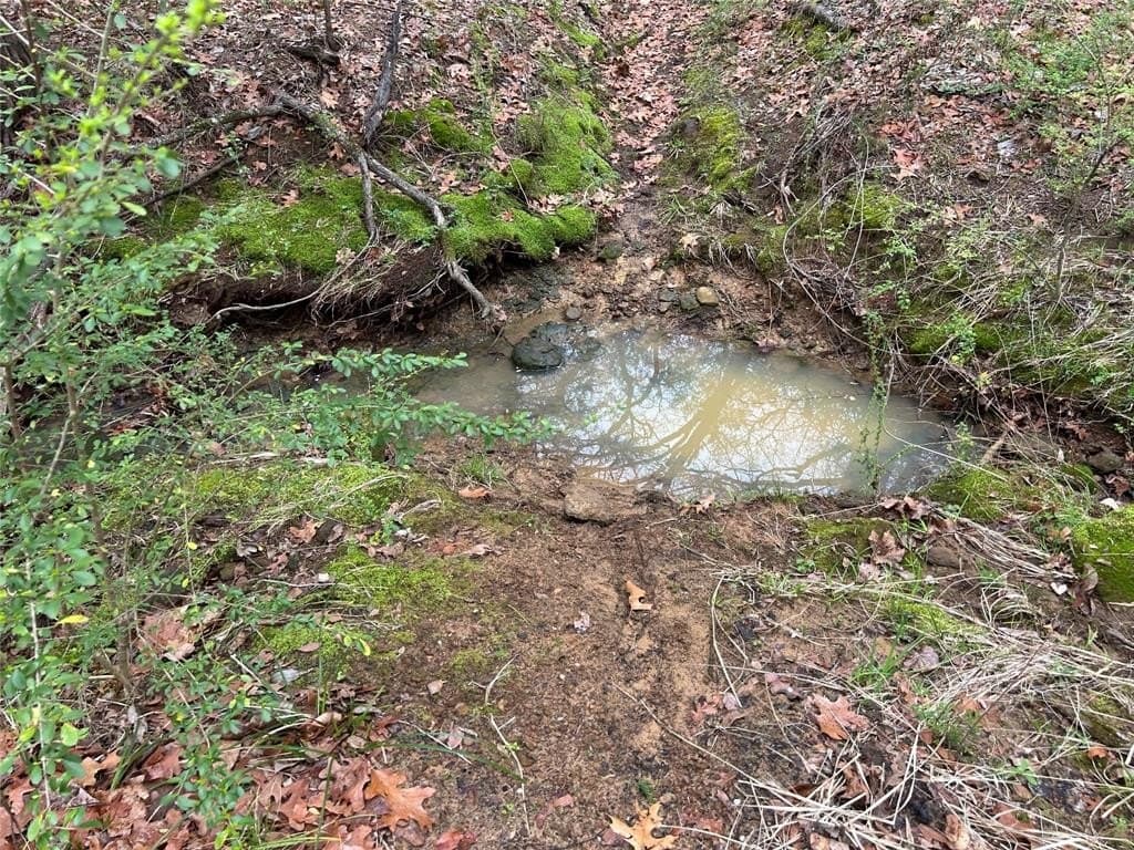 4.02 acres in Grayson County featured view