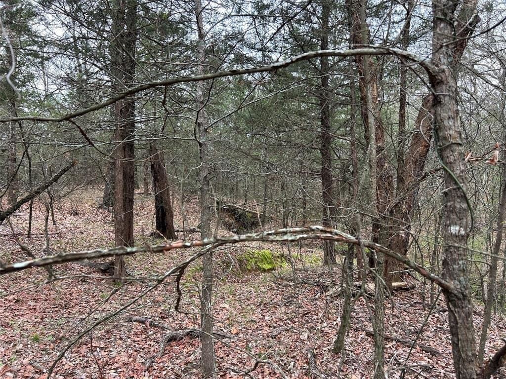 4.02 acres in Grayson County gallery image 4