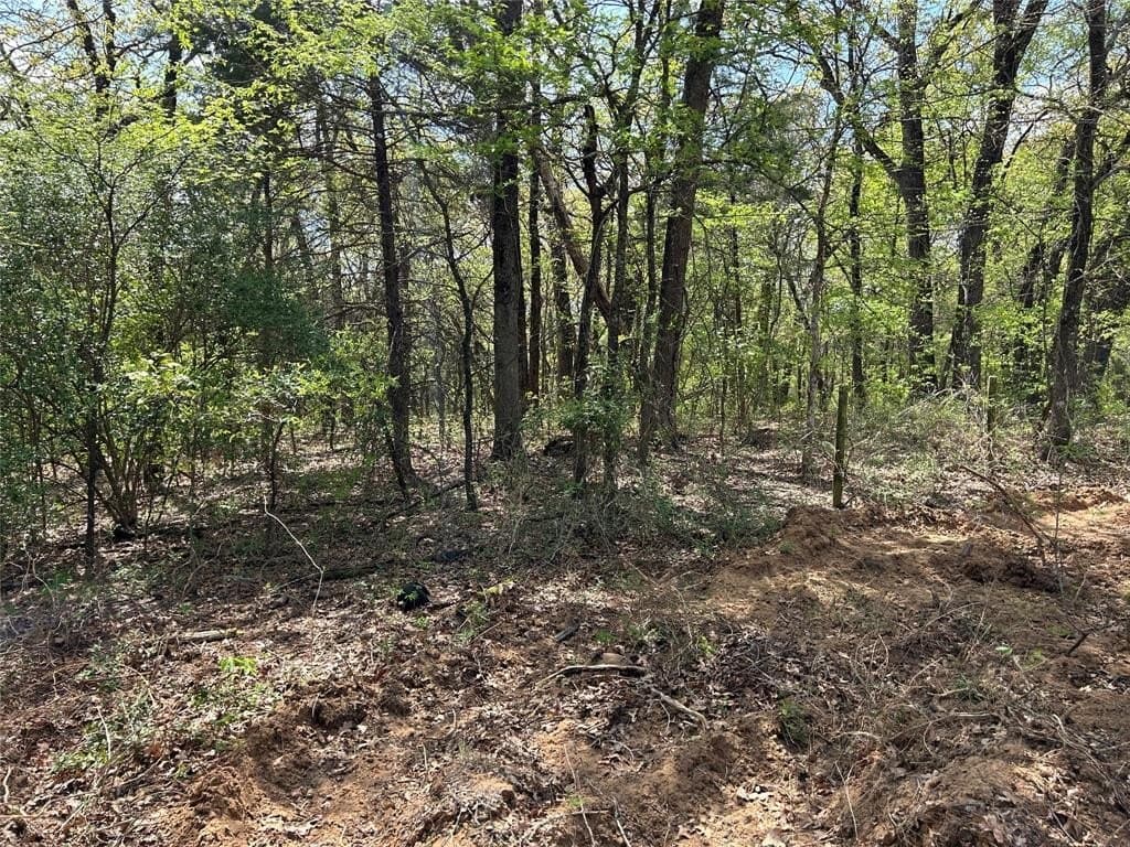 4.02 acres in Grayson County