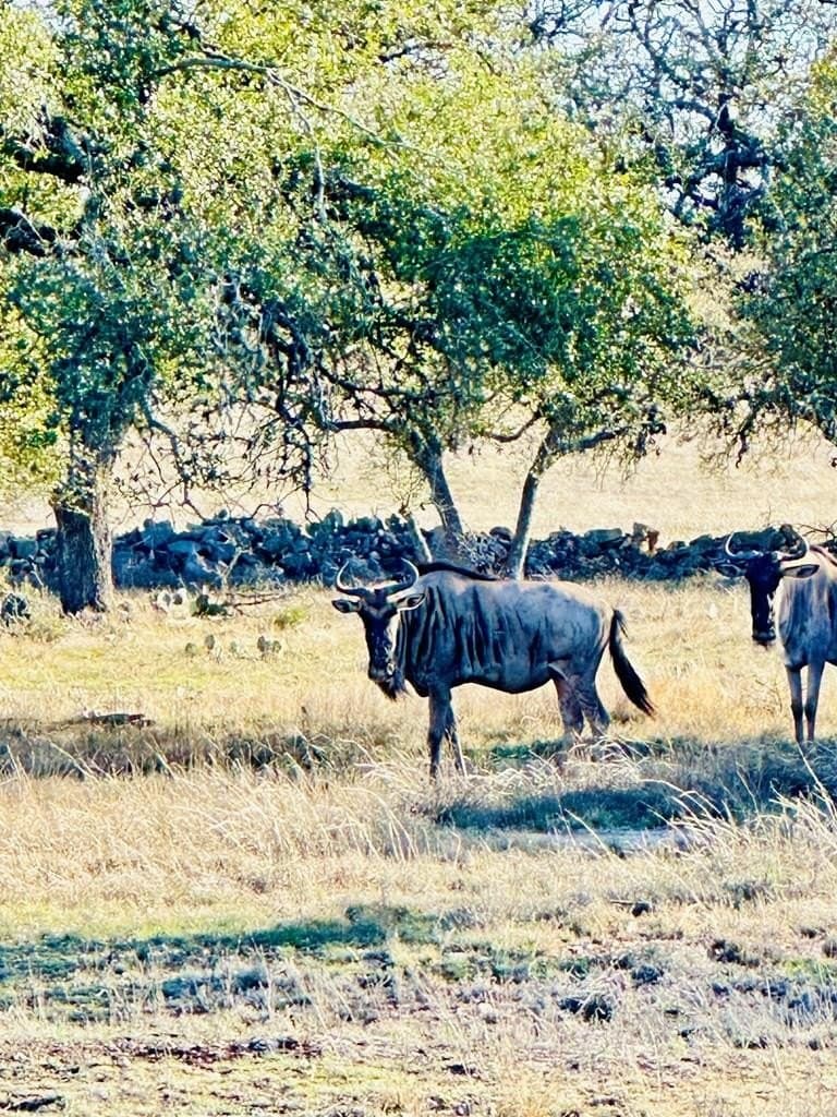 5.02 acres in Gillespie County