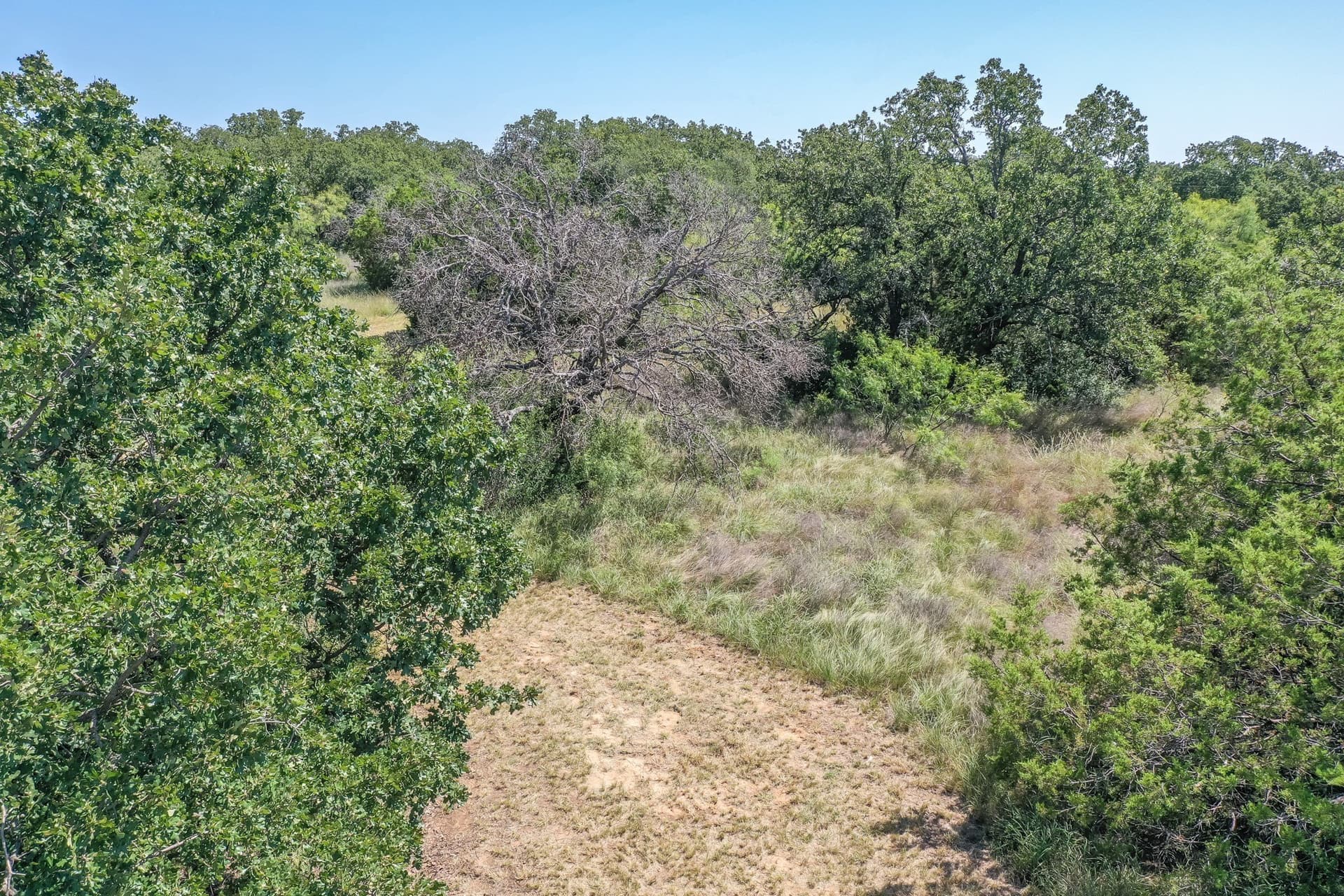 7.05 acres in Palo Pinto County - photo 17