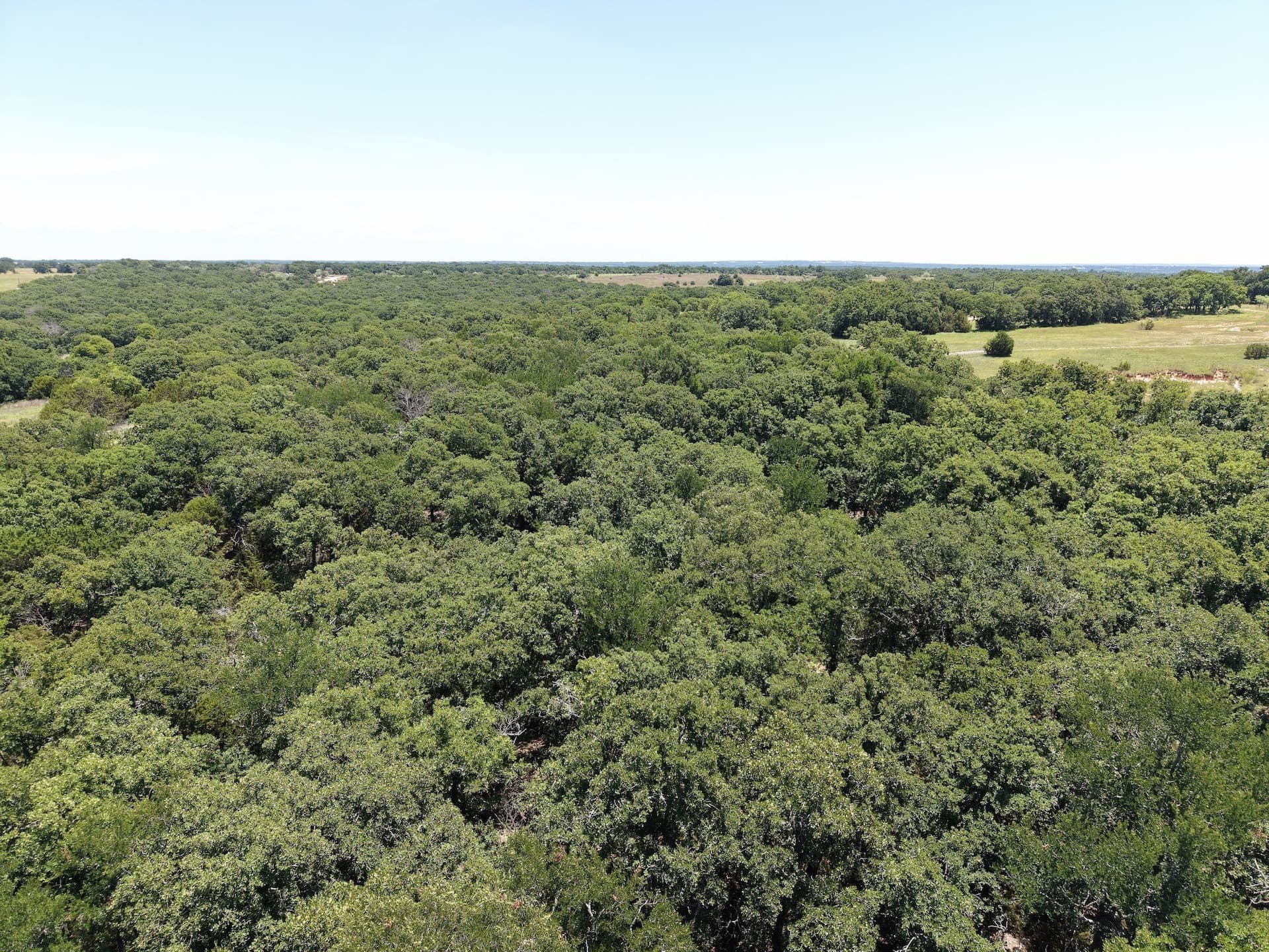 5 acres in Jack County gallery image 3