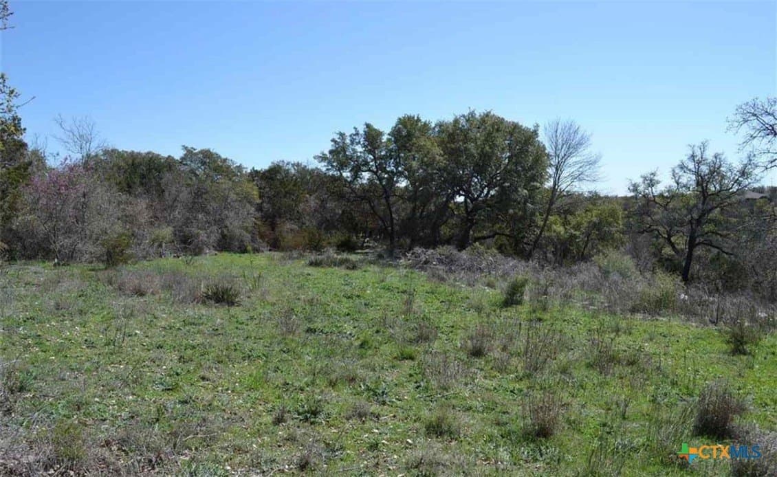 3.6 acres in Bell County - photo 6