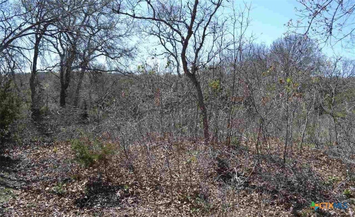 3.6 acres in Bell County gallery image 4
