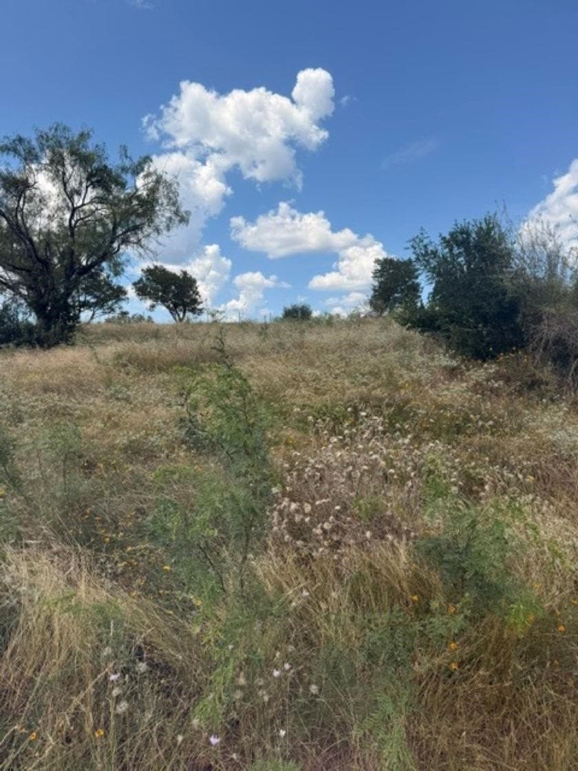 0.23 acres in Llano County gallery image 4