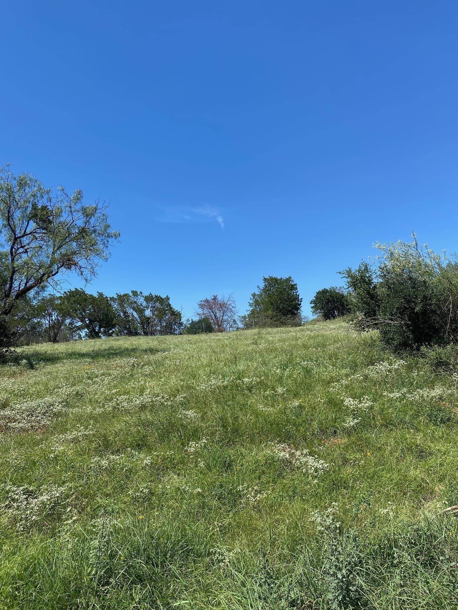 0.23 acres in Llano County gallery image 3