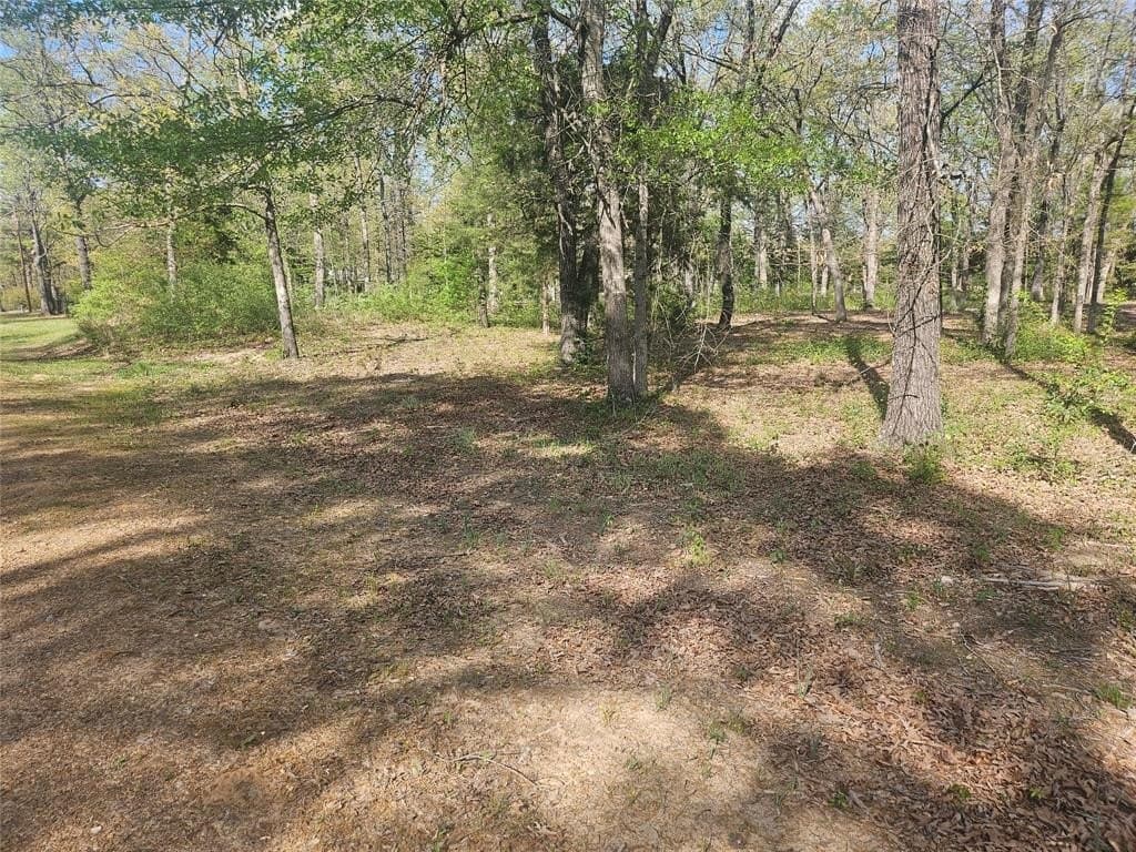 2.21 acres in Lamar County gallery image 2