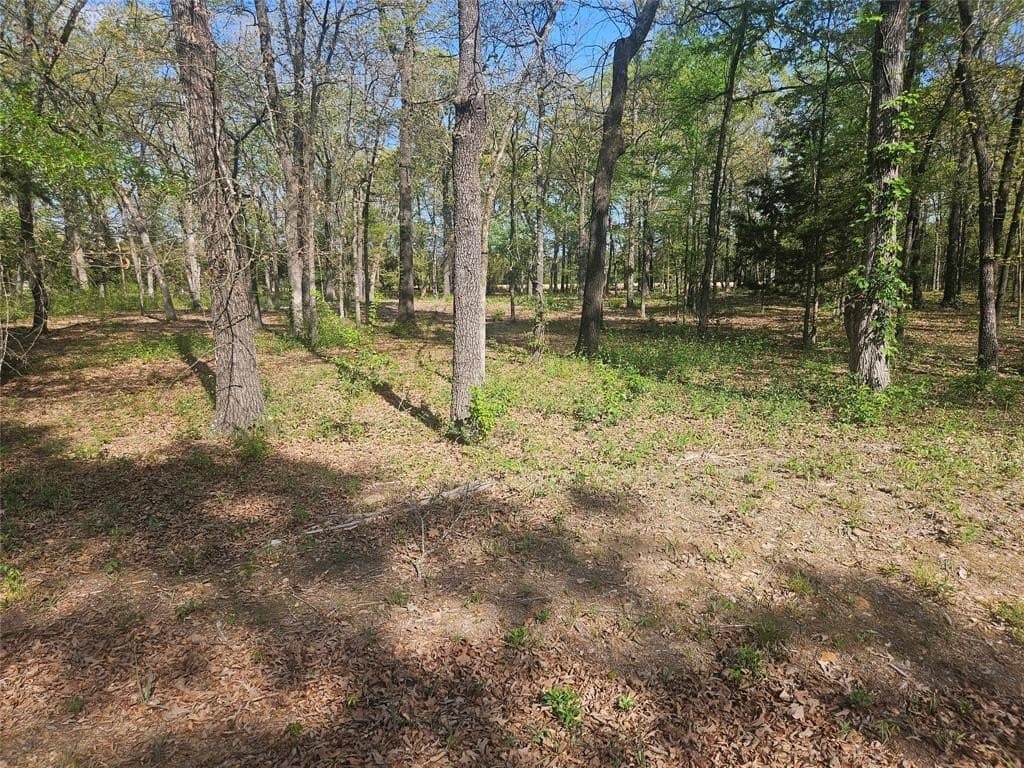 2.21 acres in Lamar County