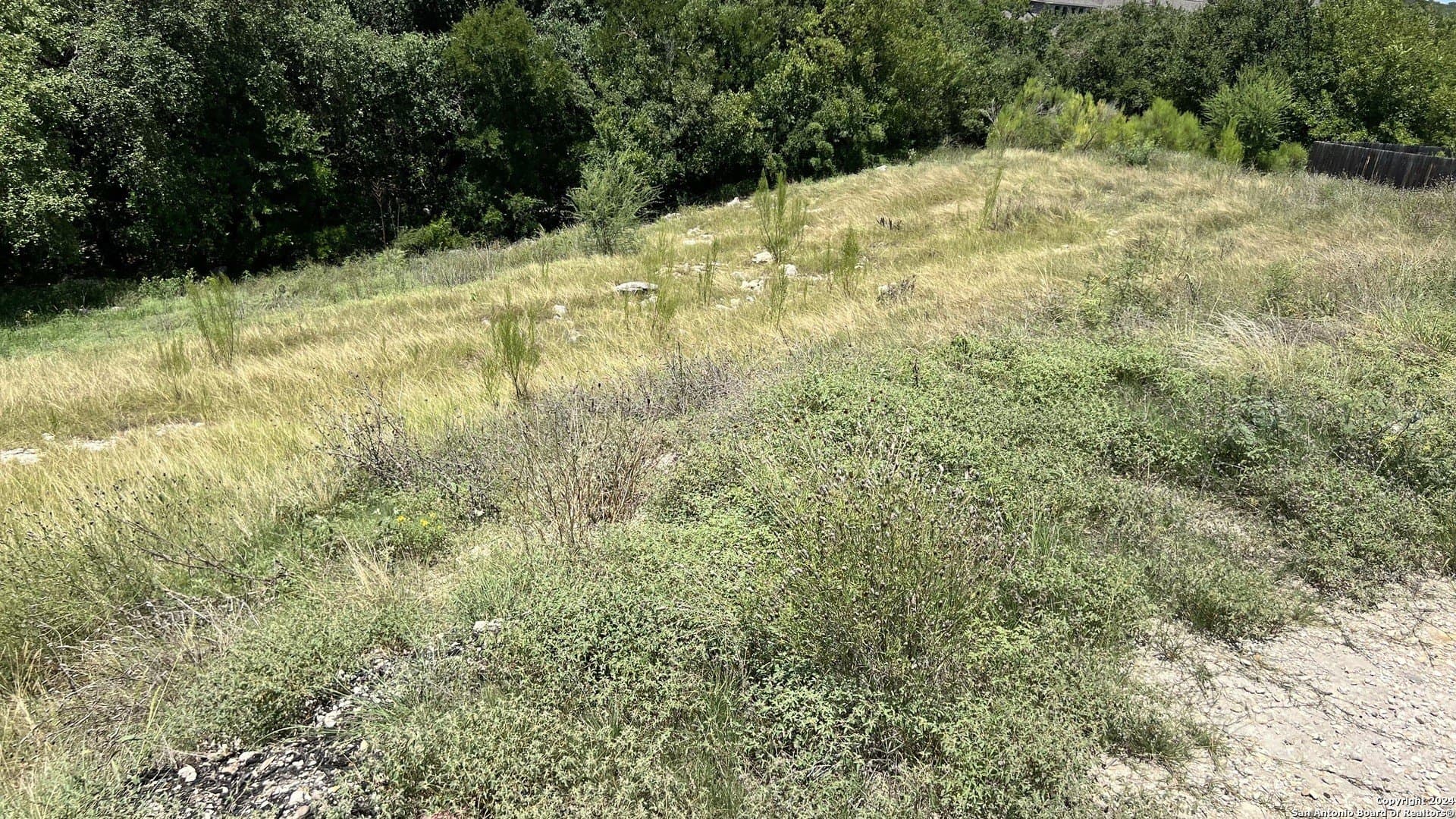 0.35 acres in Bexar County - photo 13