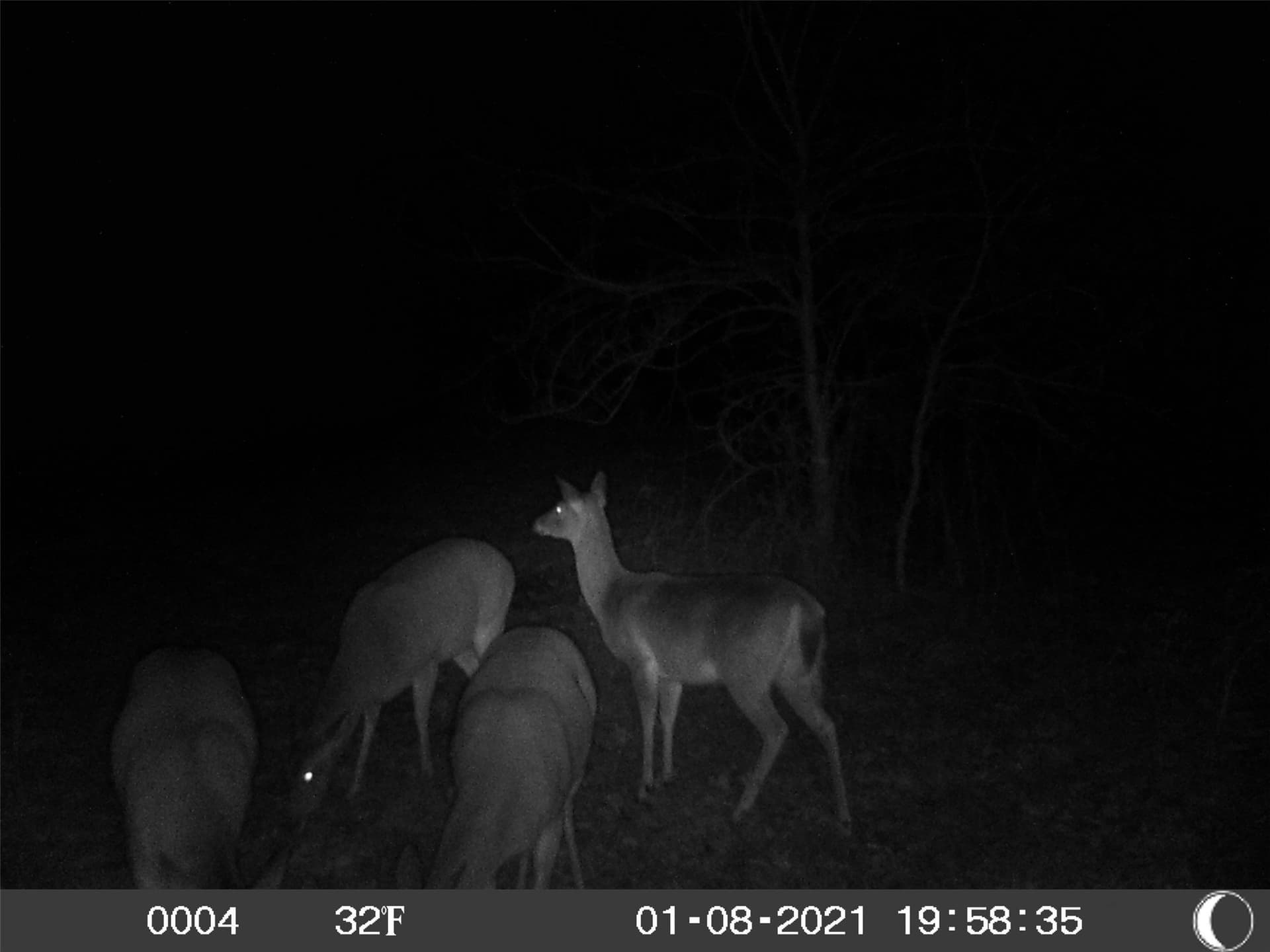 39.83 acres in Wood County - photo 40