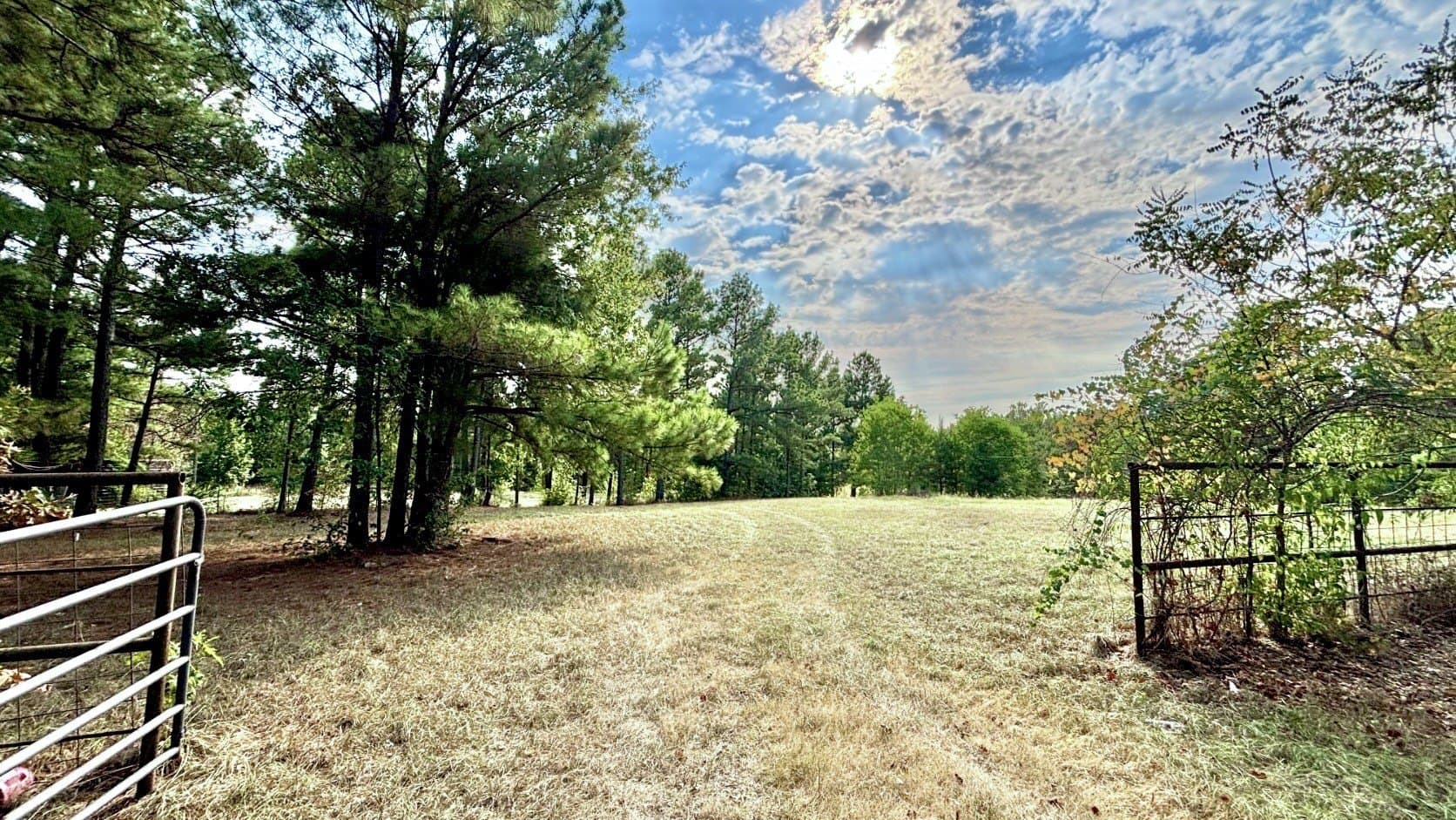 39.83 acres in Wood County - photo 37