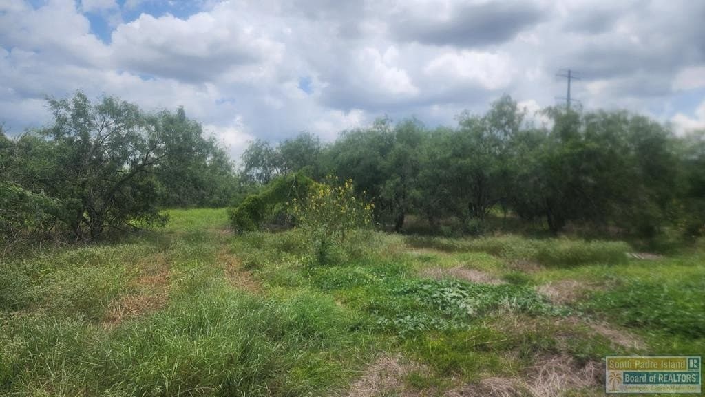 3.93 acres in Cameron County gallery image 2
