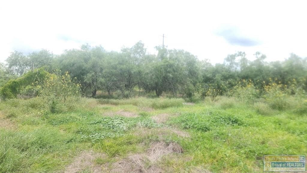 3.93 acres in Cameron County gallery image 4