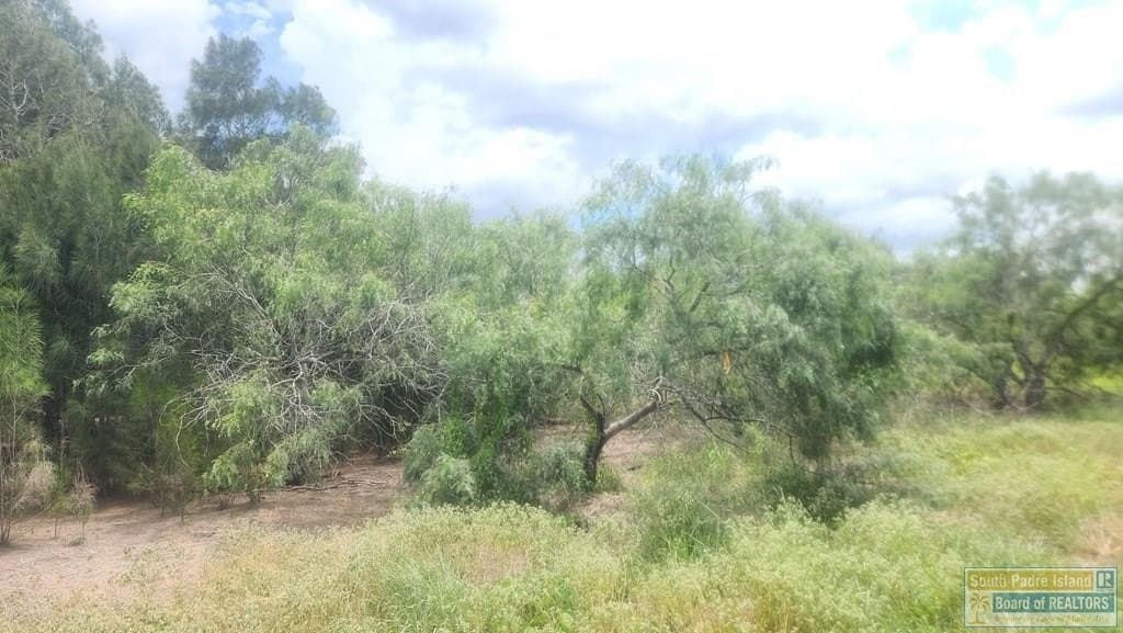 3.93 acres in Cameron County gallery image 3