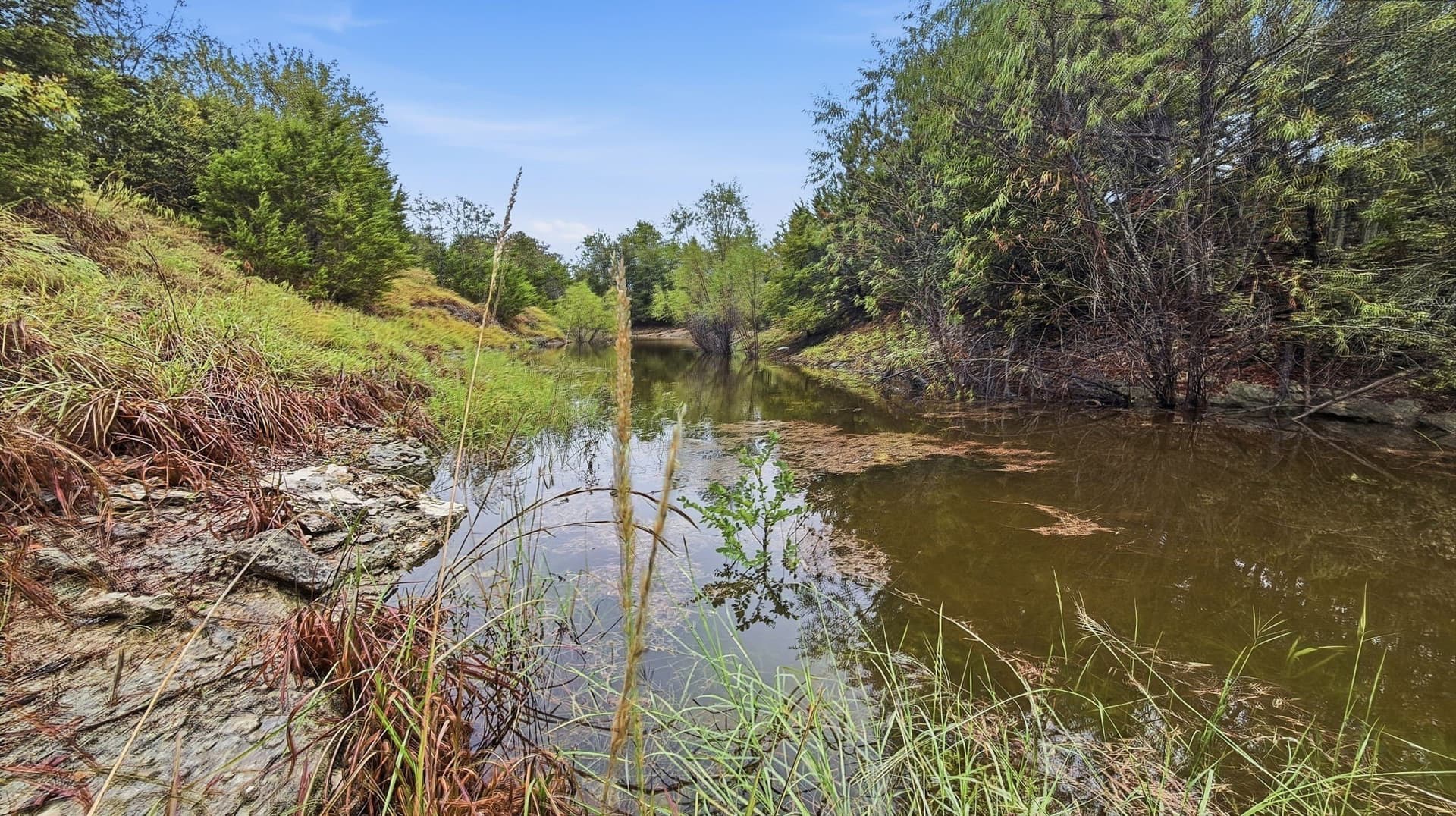 47.32 acres in Coryell County - photo 26