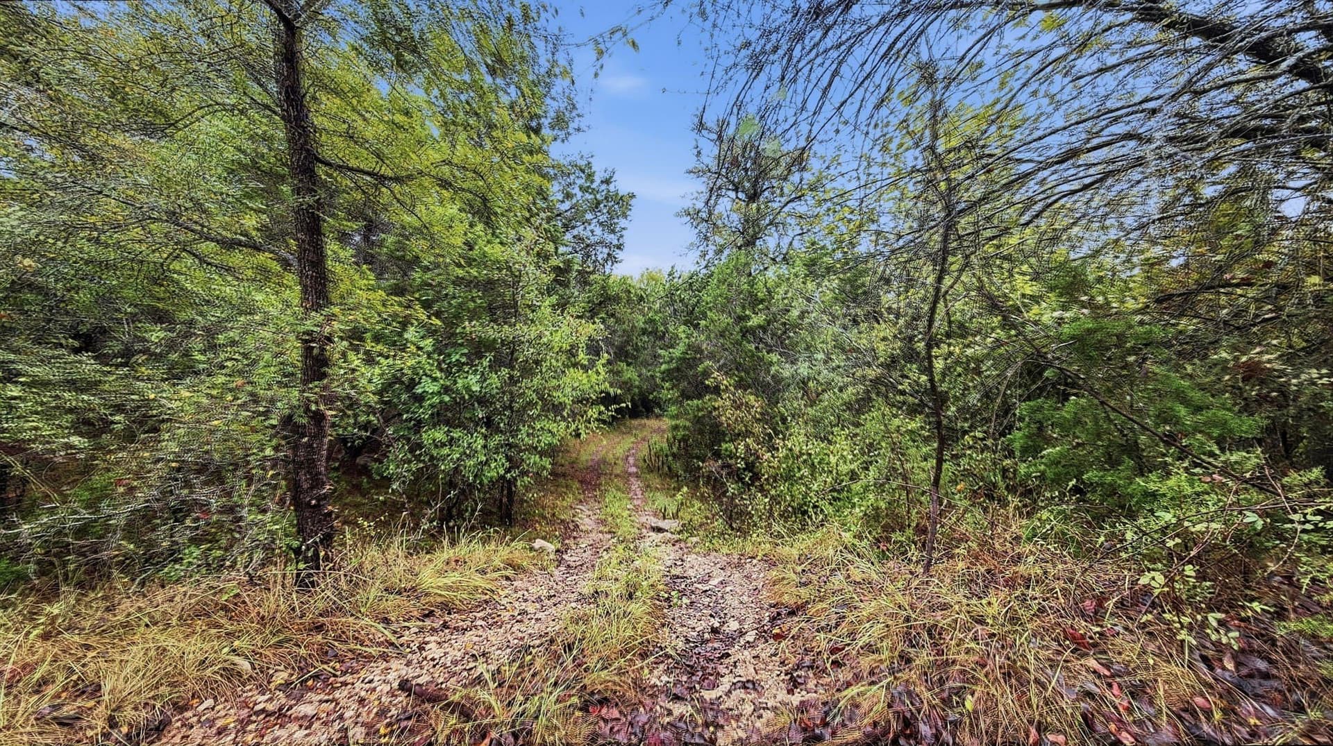 47.32 acres in Coryell County - photo 29