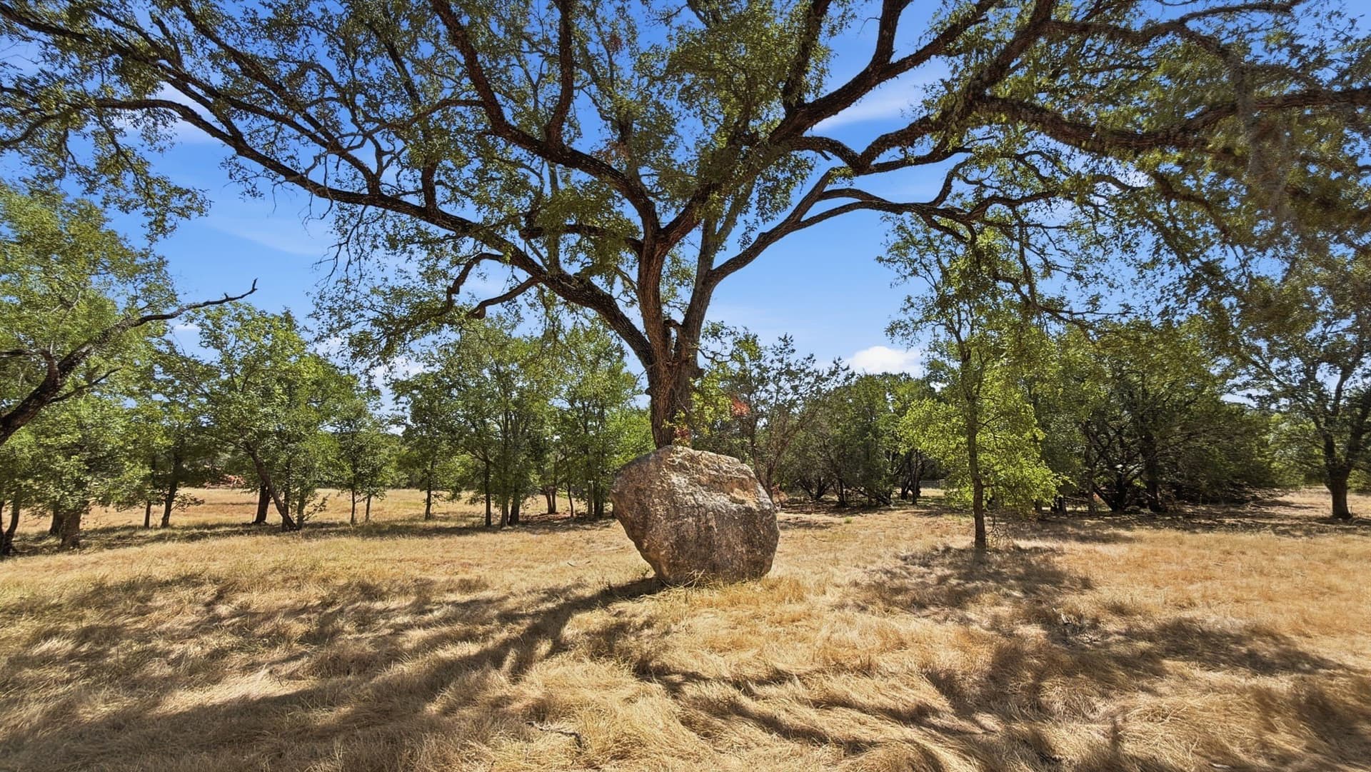 47.32 acres in Coryell County - photo 33