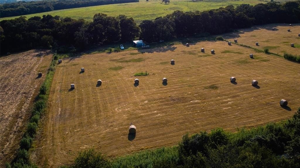 6.98 acres in Hill County gallery image 3