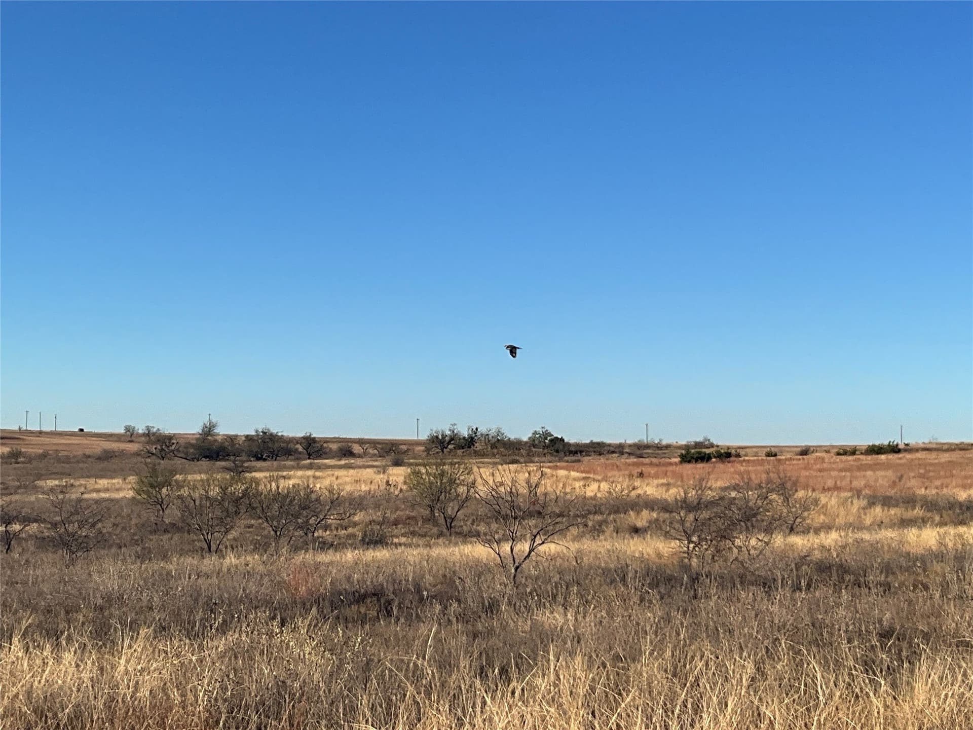 32 acres in Hamilton County - photo 8