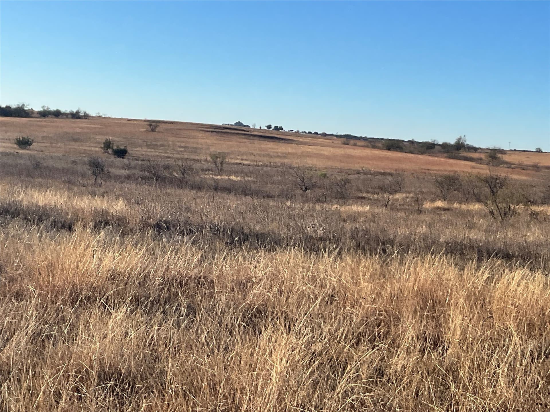 32 acres in Hamilton County - photo 4