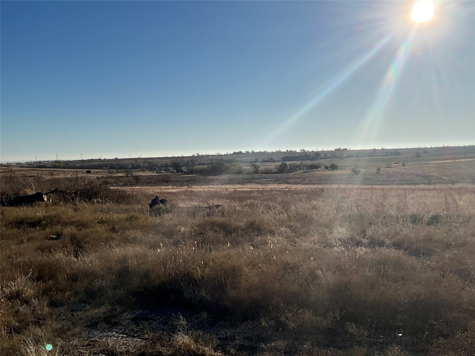 32 acres in Hamilton County - photo 6