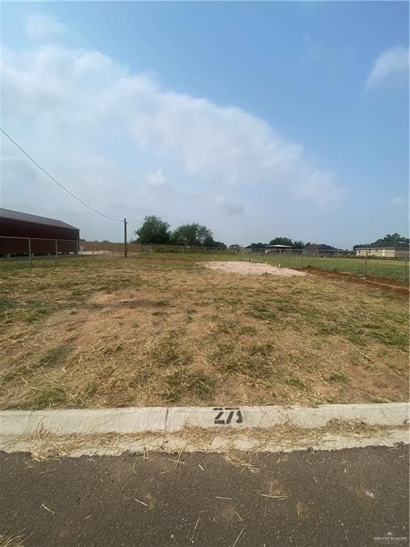 0.2 acres in Hidalgo County gallery image 4