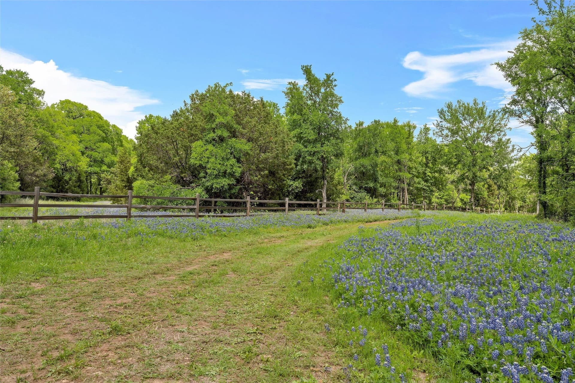 68.59 acres in McLennan County - photo 8