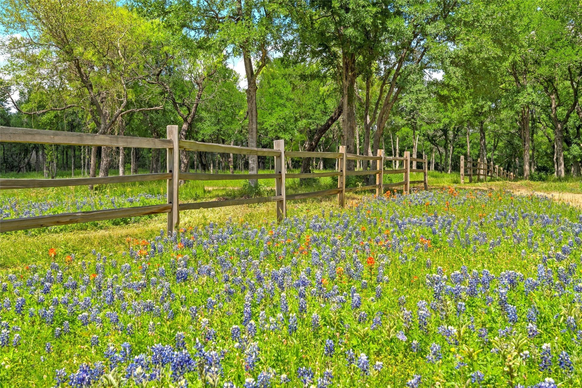 68.59 acres in McLennan County - photo 7
