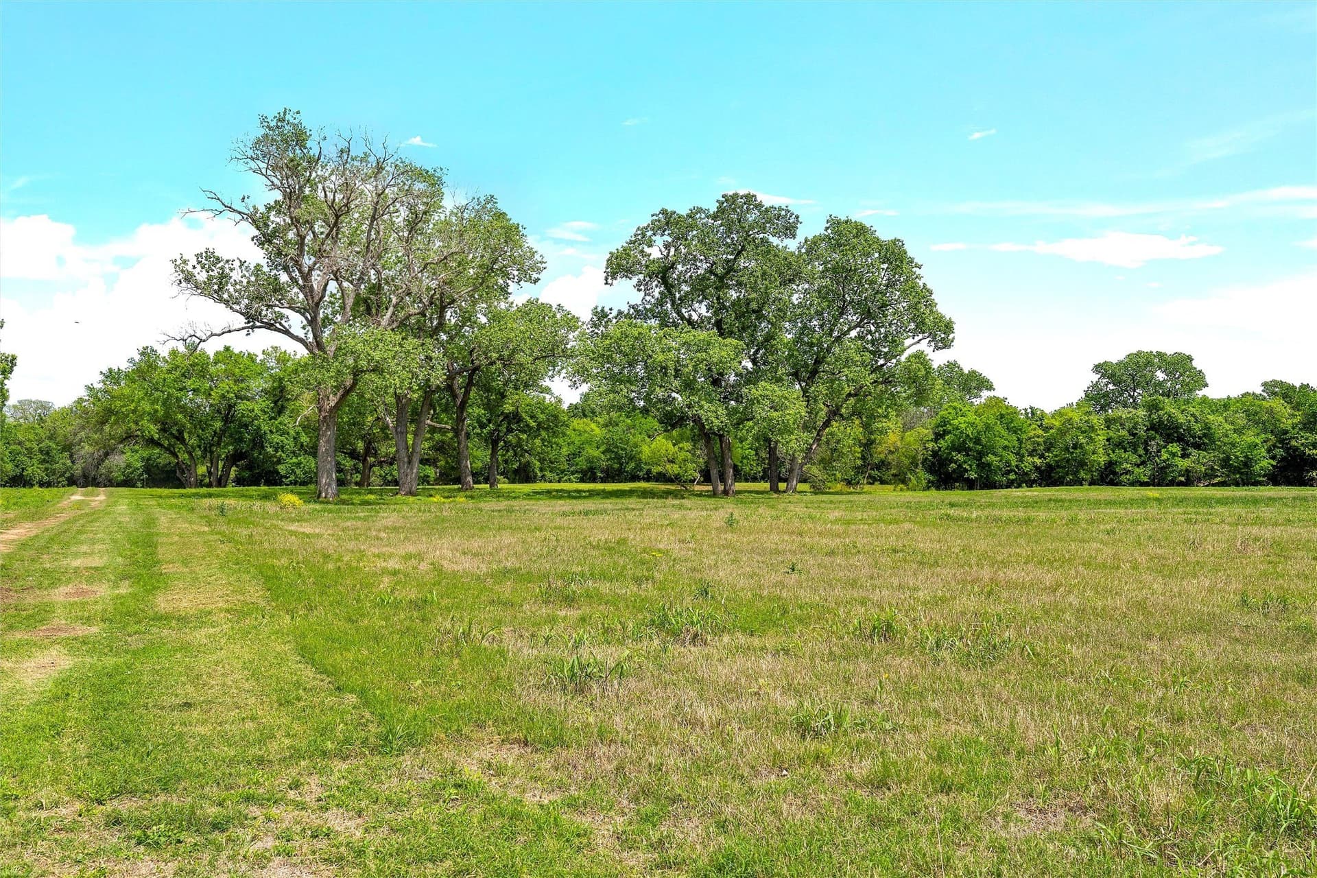 68.59 acres in McLennan County - photo 17