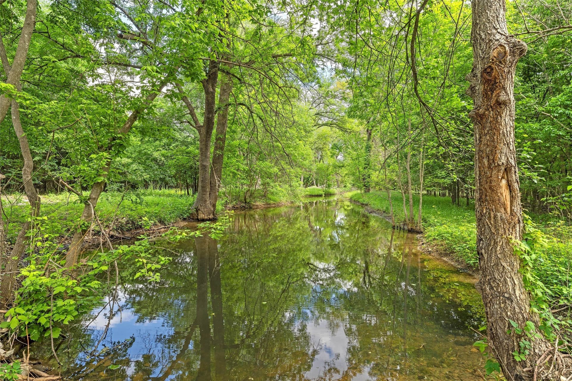 68.59 acres in McLennan County - photo 12