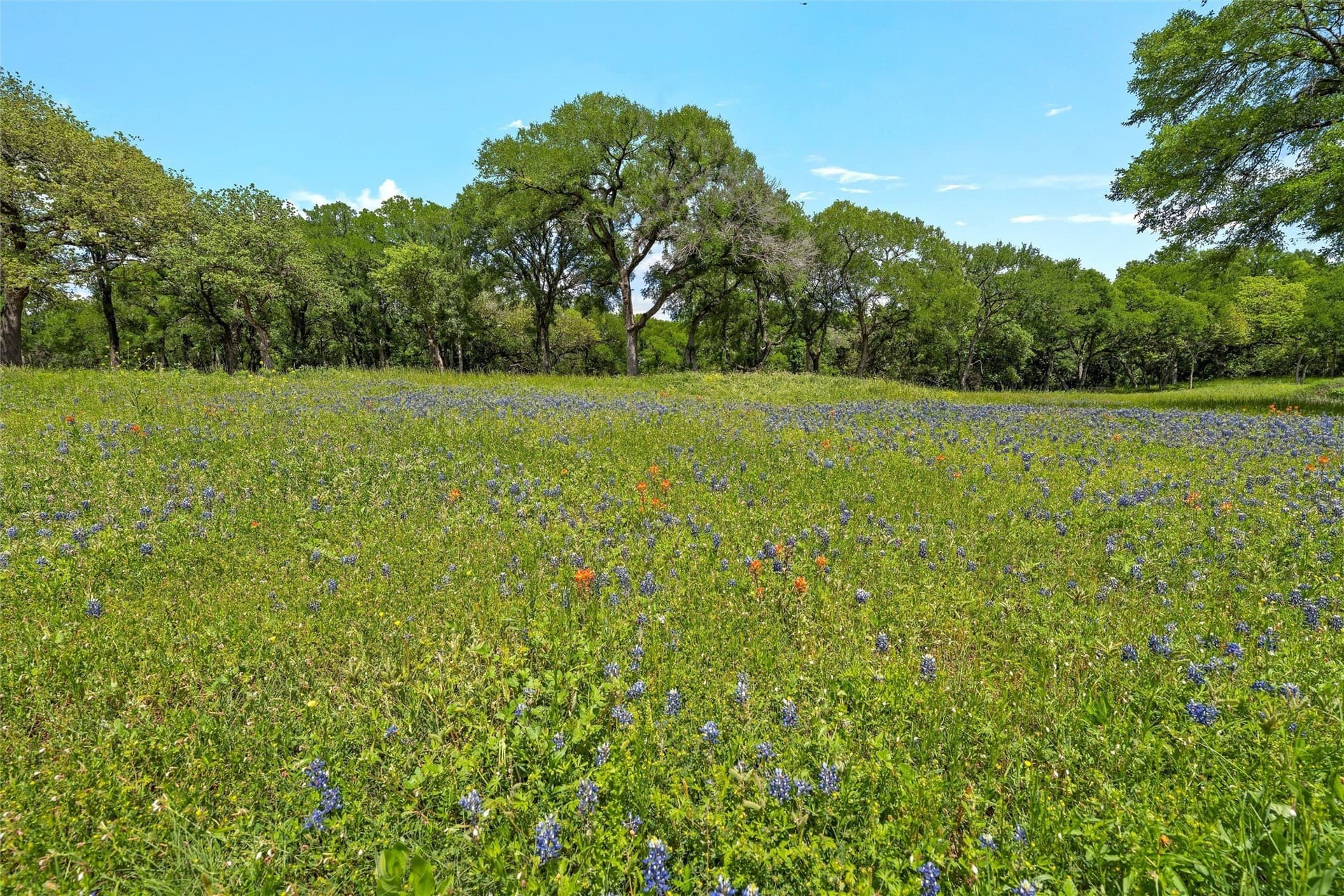 68.59 acres in McLennan County - photo 9