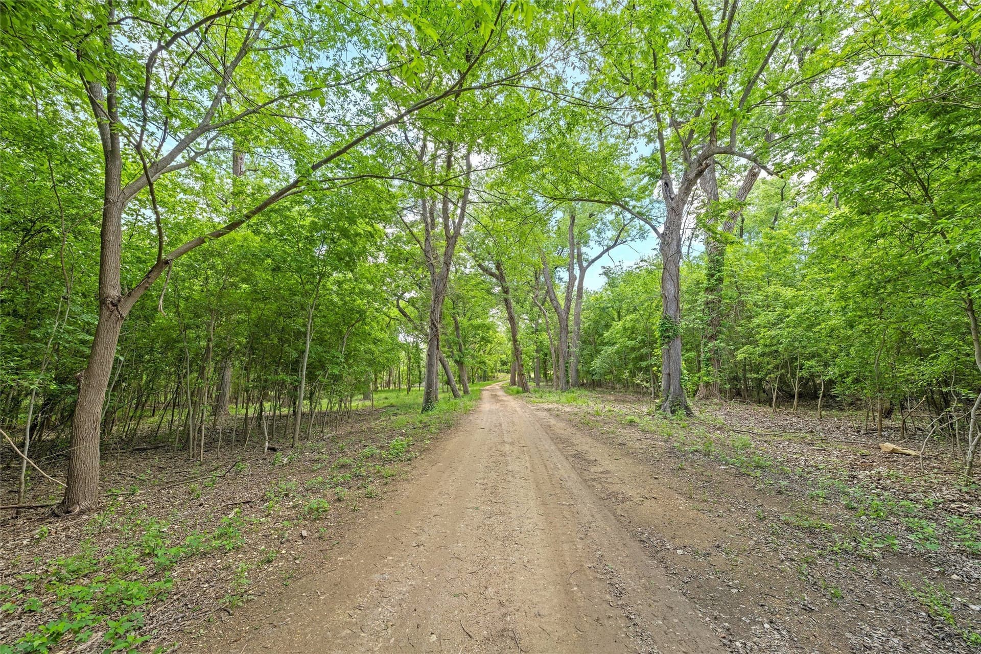 68.59 acres in McLennan County - photo 11