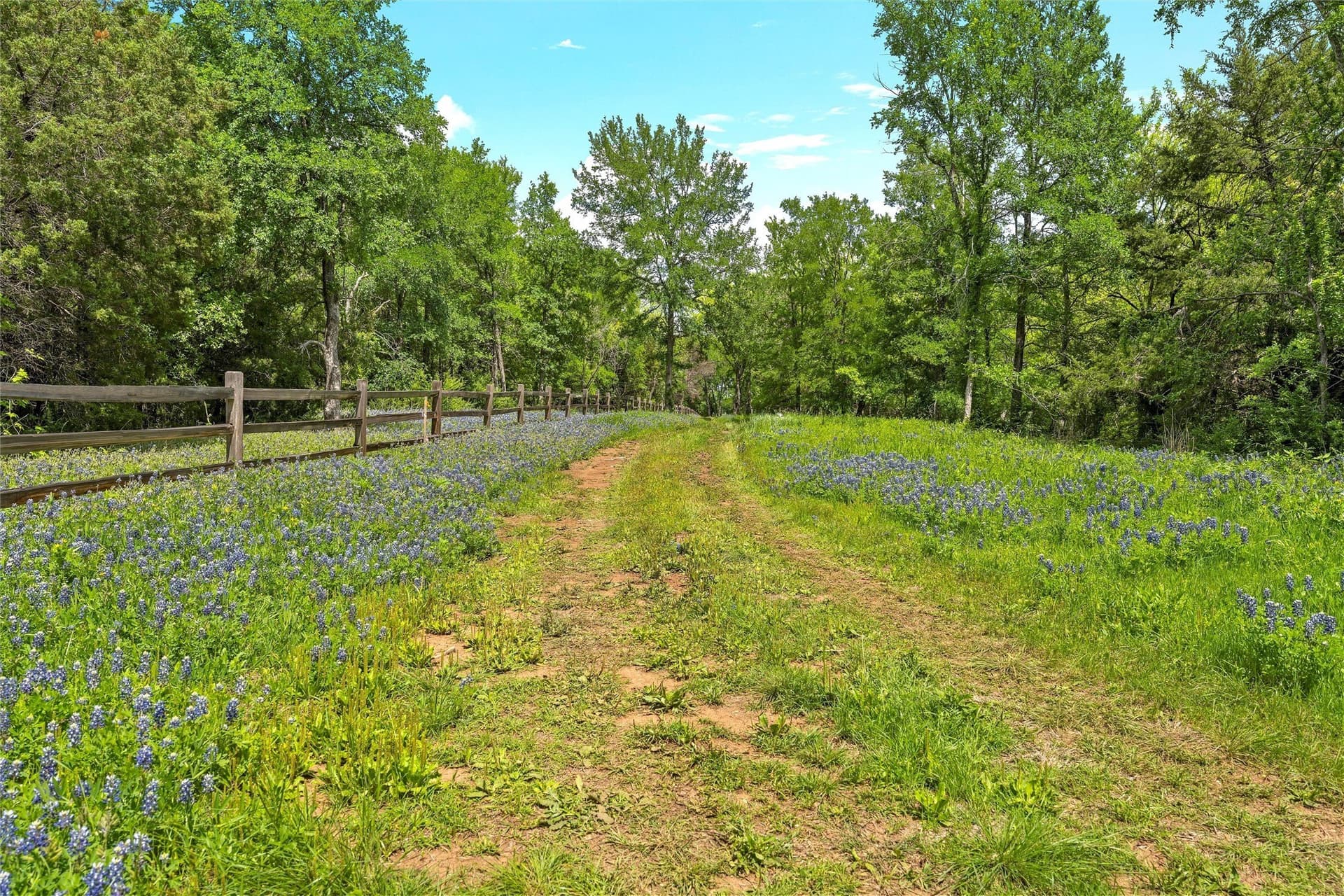 68.59 acres in McLennan County - photo 6