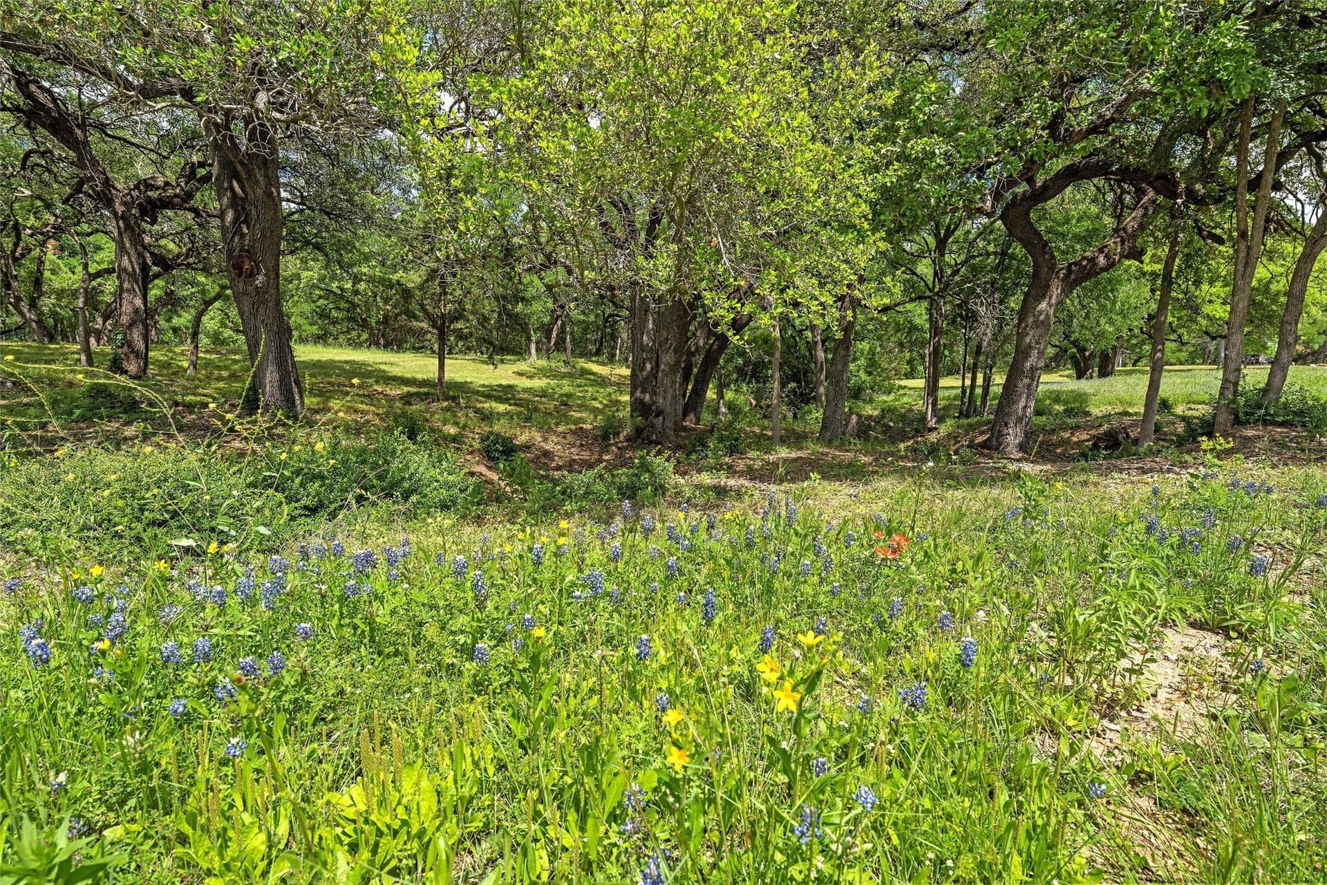 68.59 acres in McLennan County - photo 10