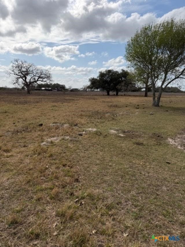 19.33 acres in Refugio County gallery image 4