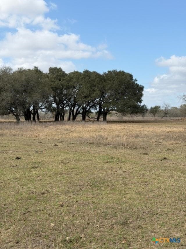 19.33 acres in Refugio County - photo 11
