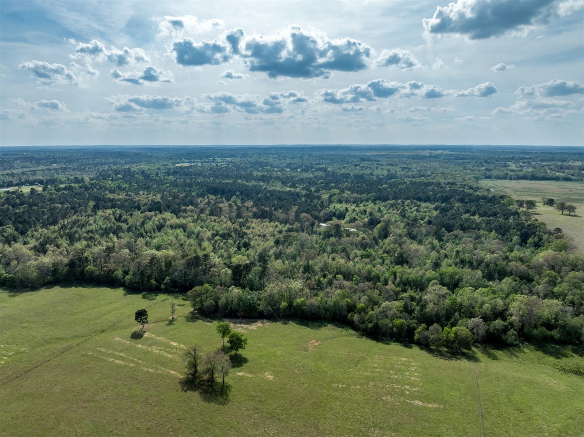 19.78 acres in Upshur County - photo 7