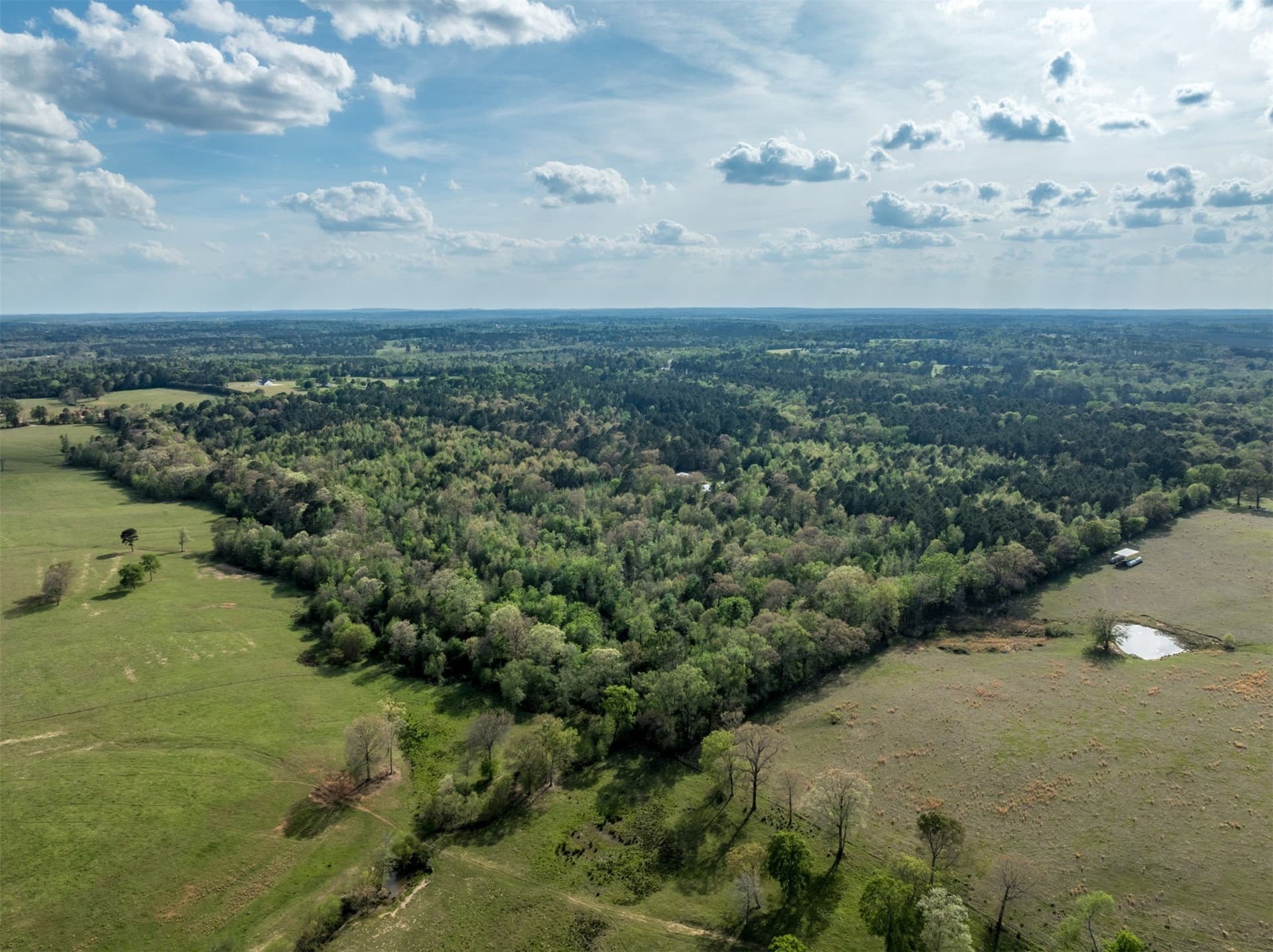 19.78 acres in Upshur County - photo 12