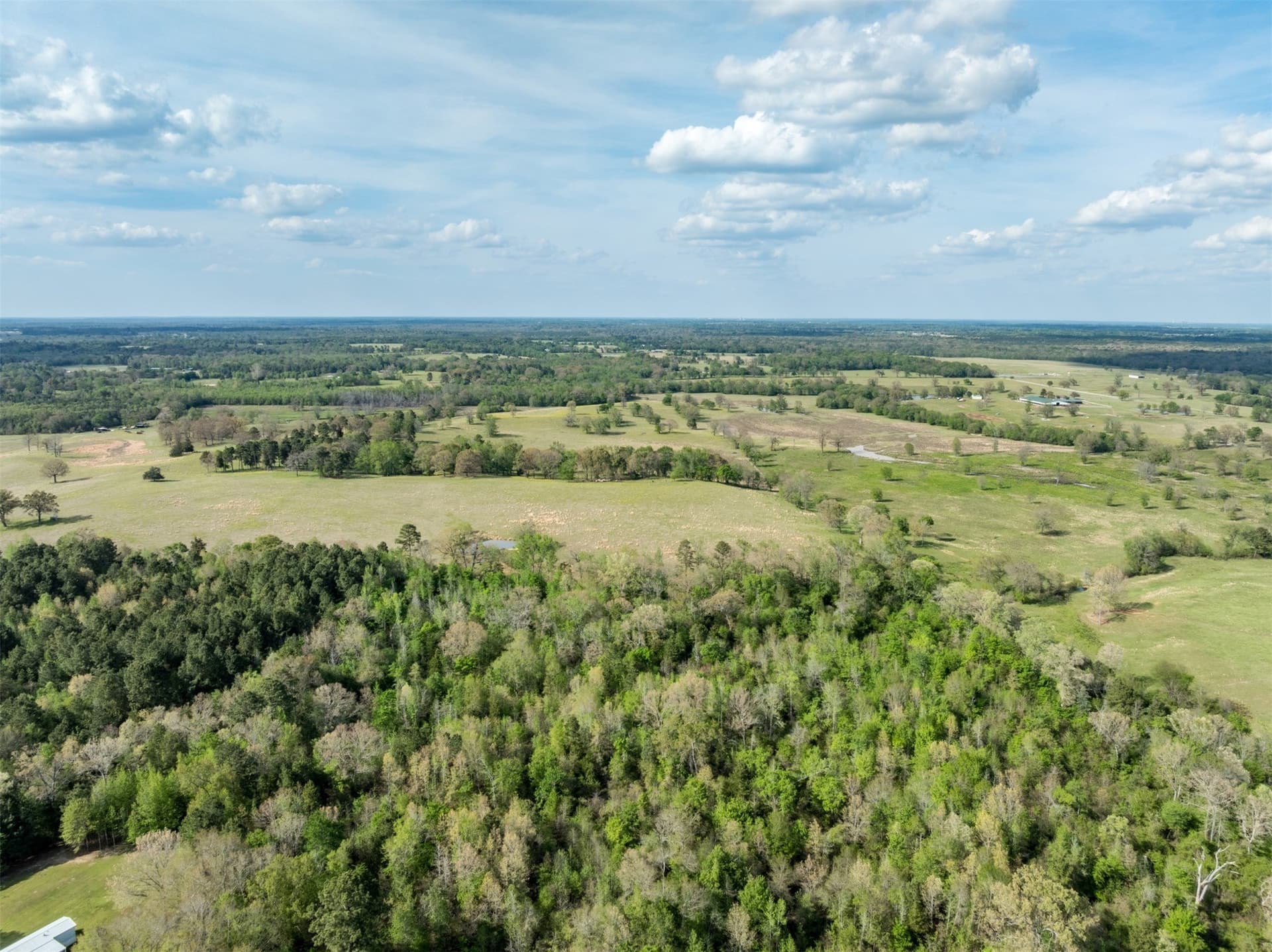 19.78 acres in Upshur County - photo 4