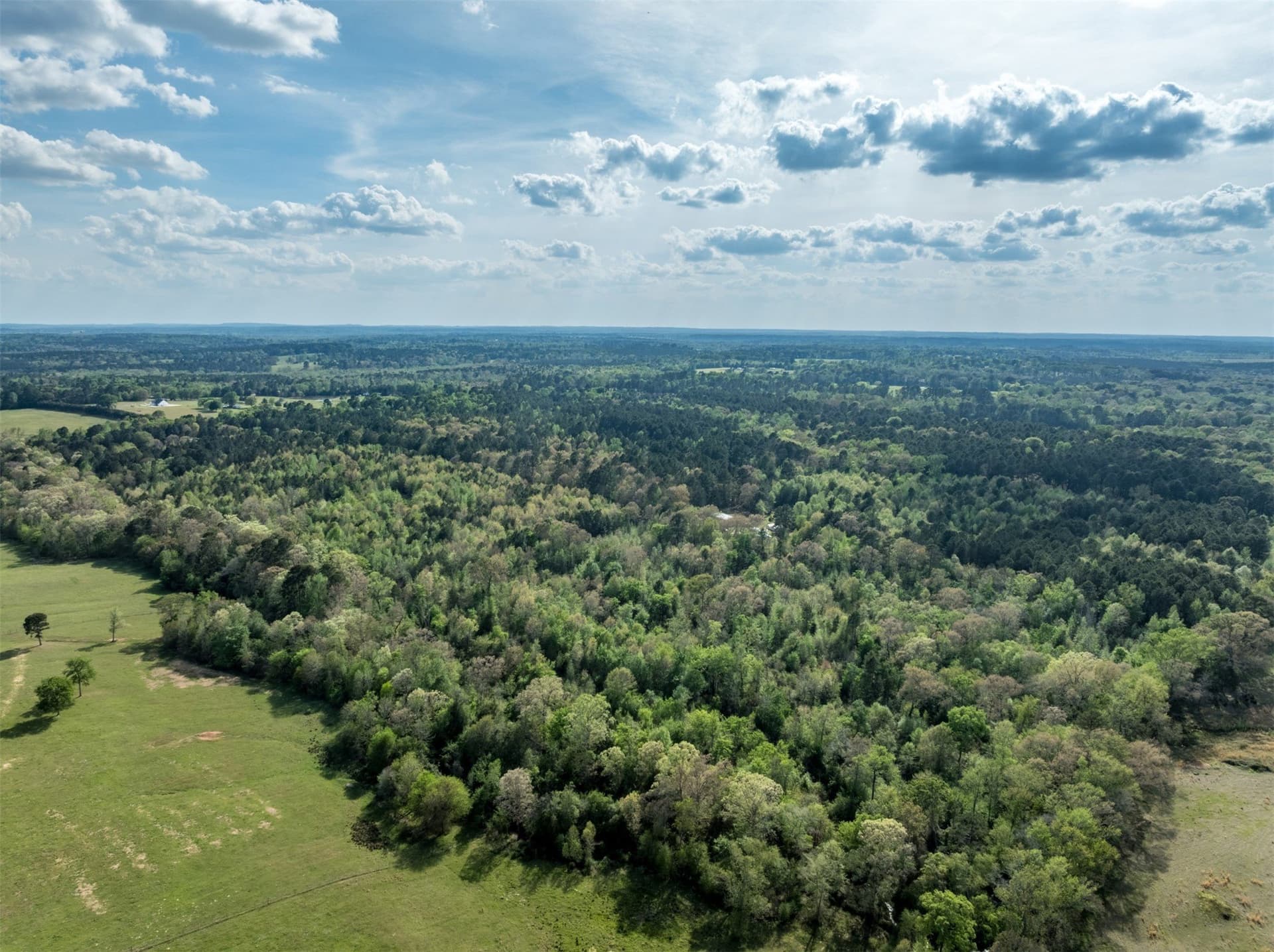 19.78 acres in Upshur County - photo 6